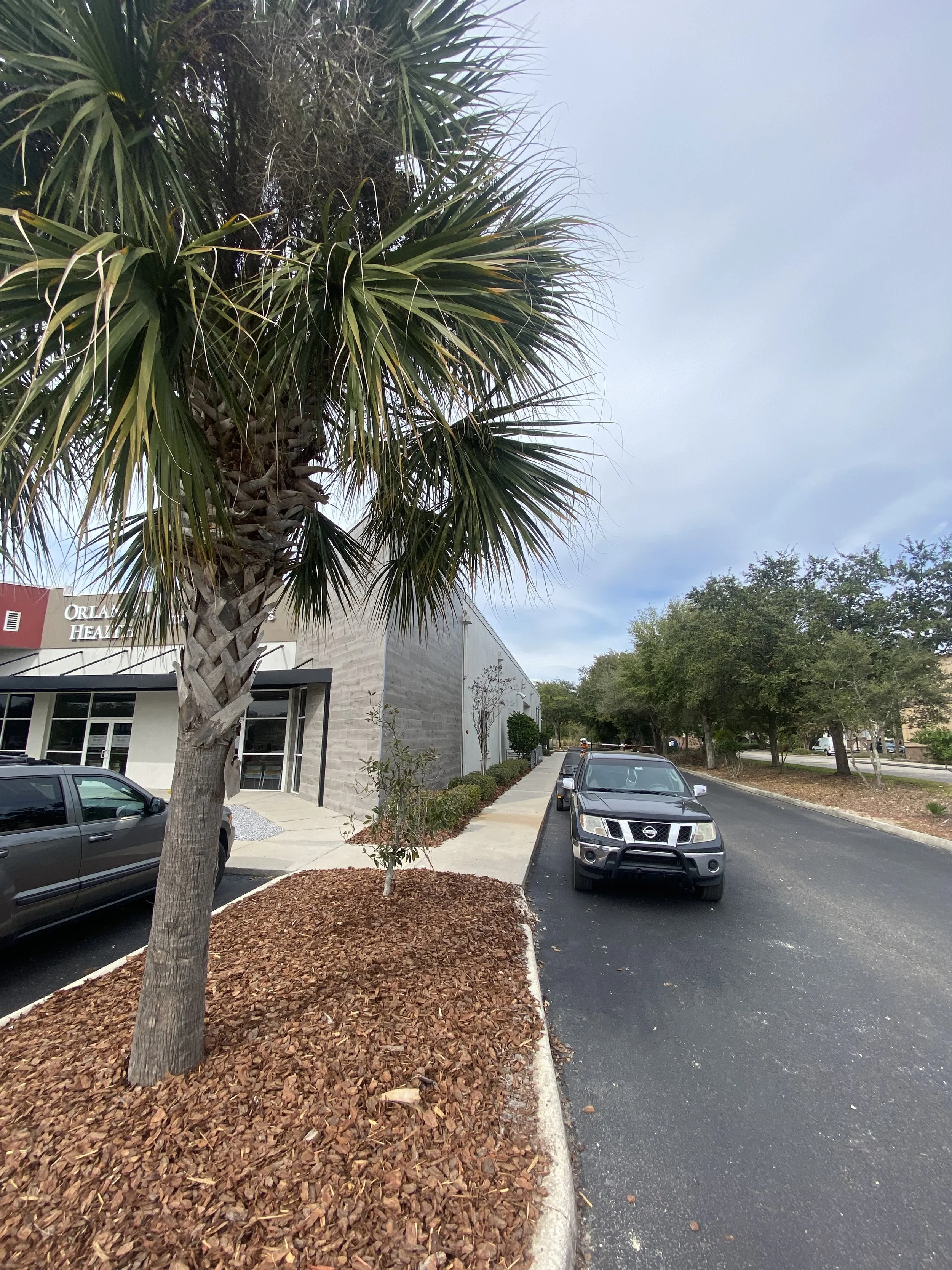 A city parking lot with a large palm tree in the foreground, a building with a sign reading 'Orlando Health', and several parked cars lined along the curb with trees and a cloudy sky in the background.