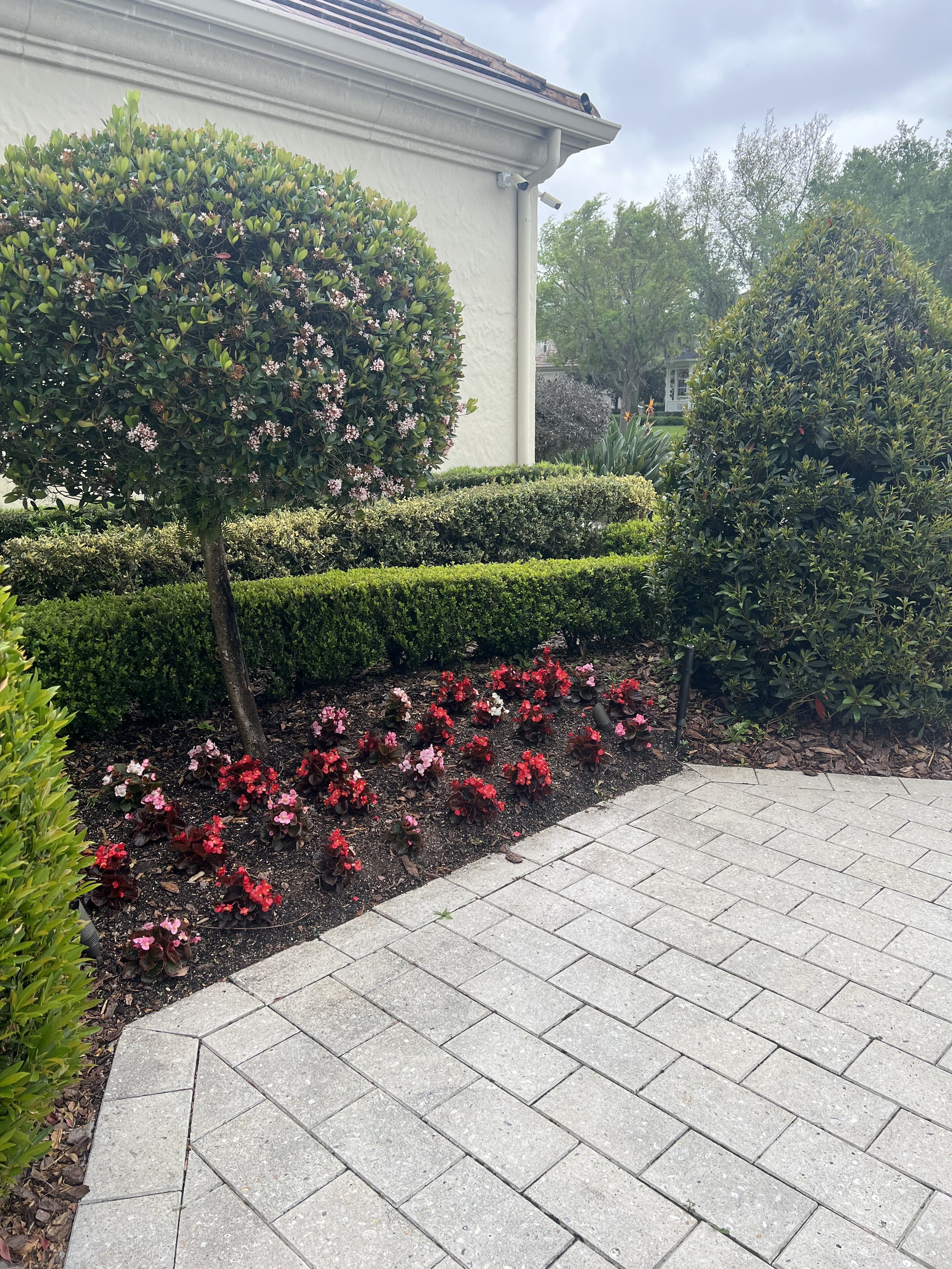 A landscaped garden with neatly trimmed bushes, flowering plants, and a paved stone walkway near a white house with a sloped roof and gutter. The sky is cloudy and the background shows green trees and neighboring houses.