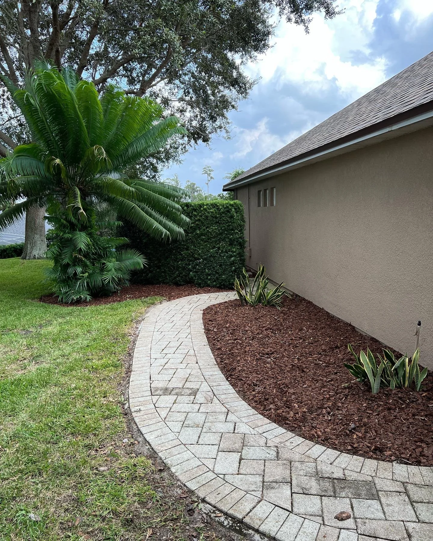 Paved walkway in a garden next to a beige house wall, with green shrubs and plants, and tall trees in the background under a partly cloudy sky.