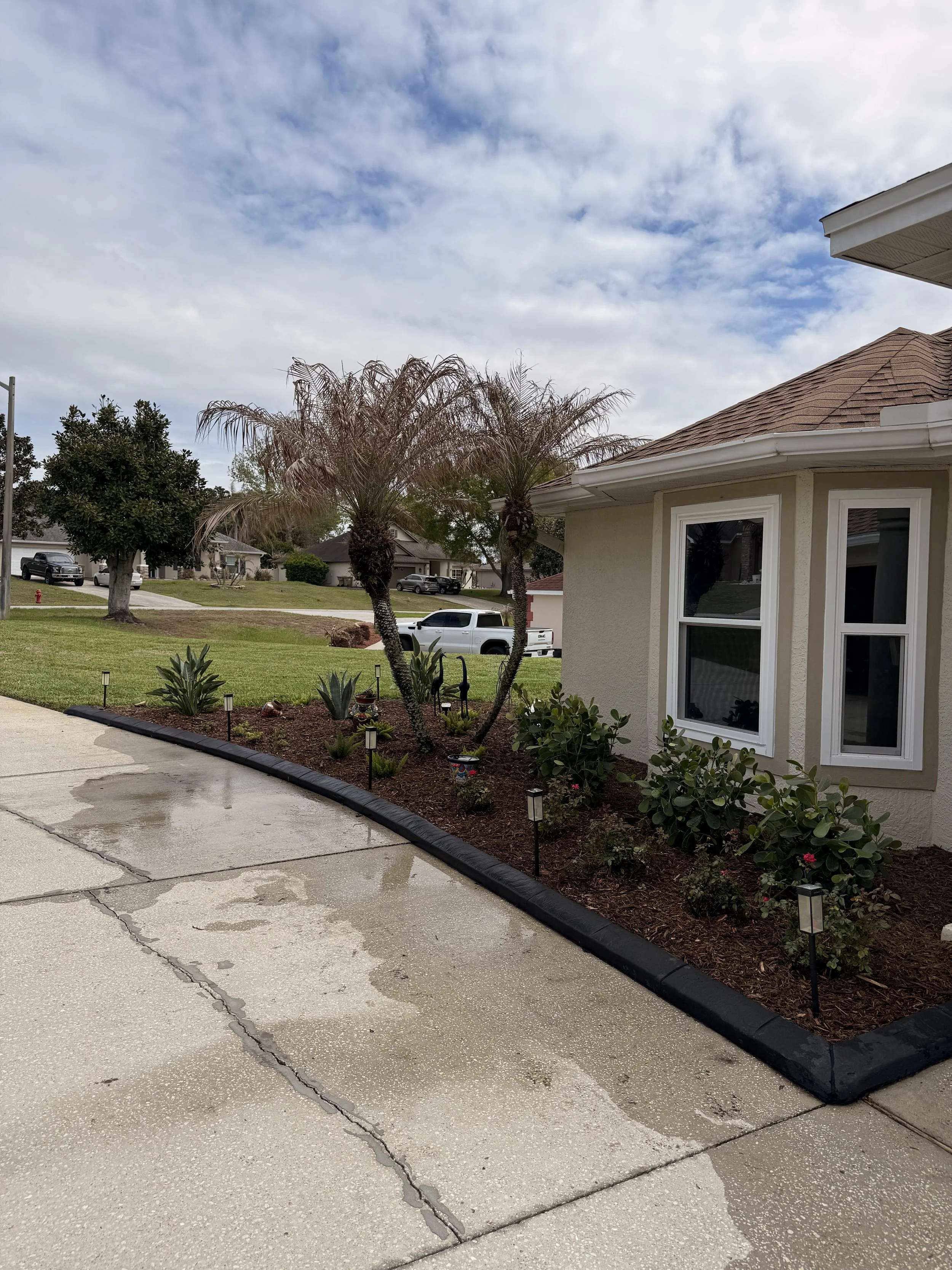 A front yard with a house on the right, decorated plants, a driveway, and a lawn with trees and neighboring houses under a cloudy sky.