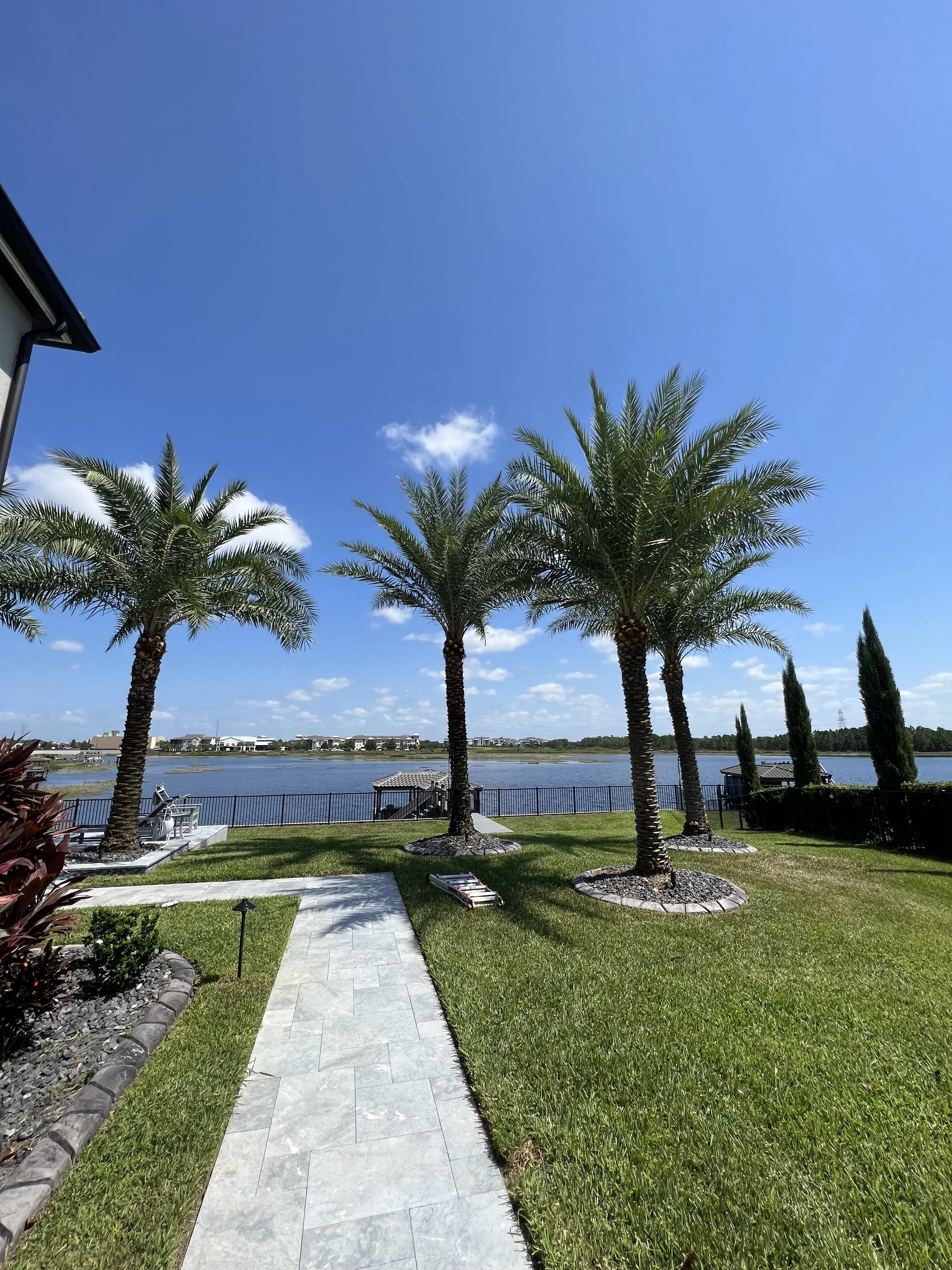 A backyard patio area with a stone pathway, green grass, palm trees, a view of a lake, and houses in the distance under a bright blue sky with some clouds.