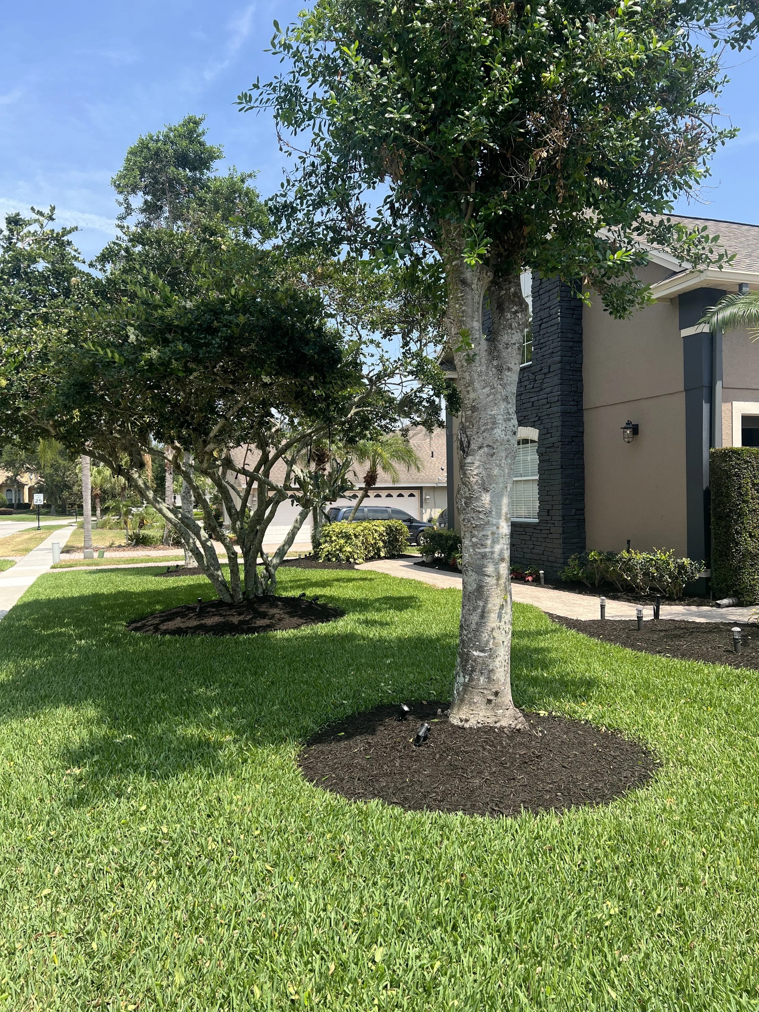 Front yard with well-maintained green grass, a small tree with light-colored bark, and large leafy trees in the background. House with gray walls, a black brick chimney, white window shutters, and a porch light. A sunny day with a blue sky and few cl