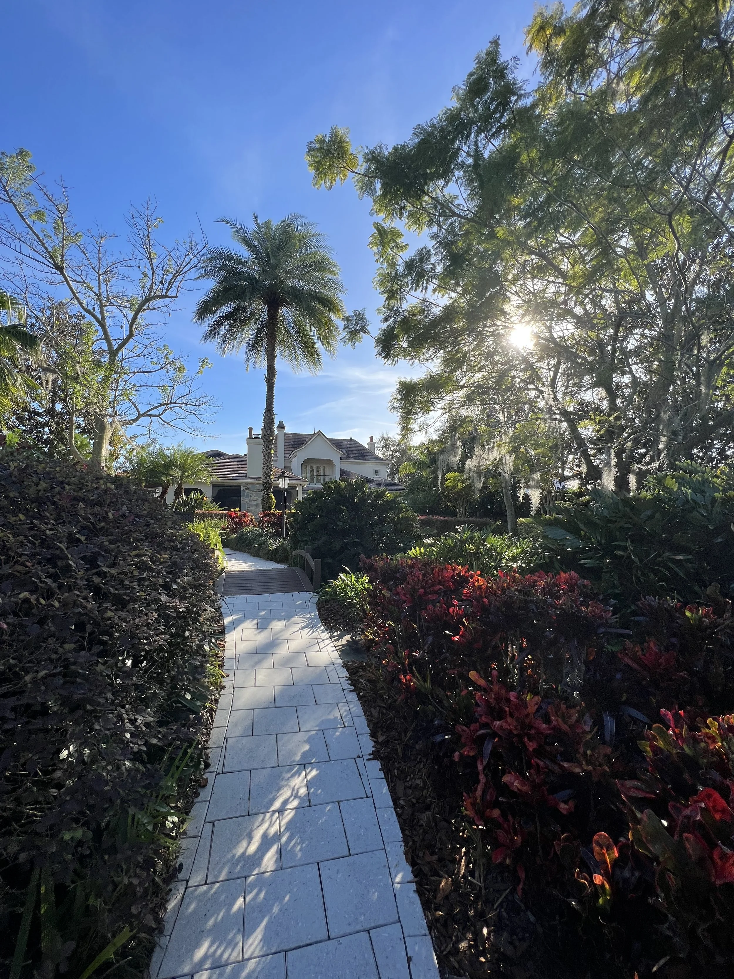 A paved pathway through a lush garden with tropical plants, bushes, and trees, leading towards a large white house with a brick roof under a clear blue sky, with the sun shining through the trees.