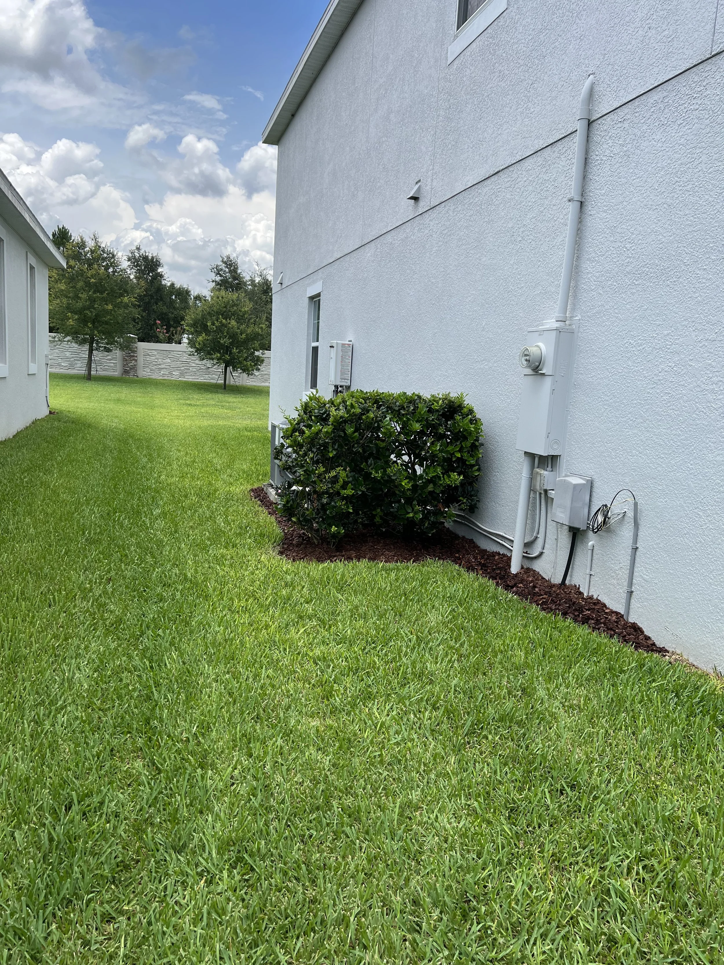Backyard with green grass, white house wall, plants, trees, and a partly cloudy sky.