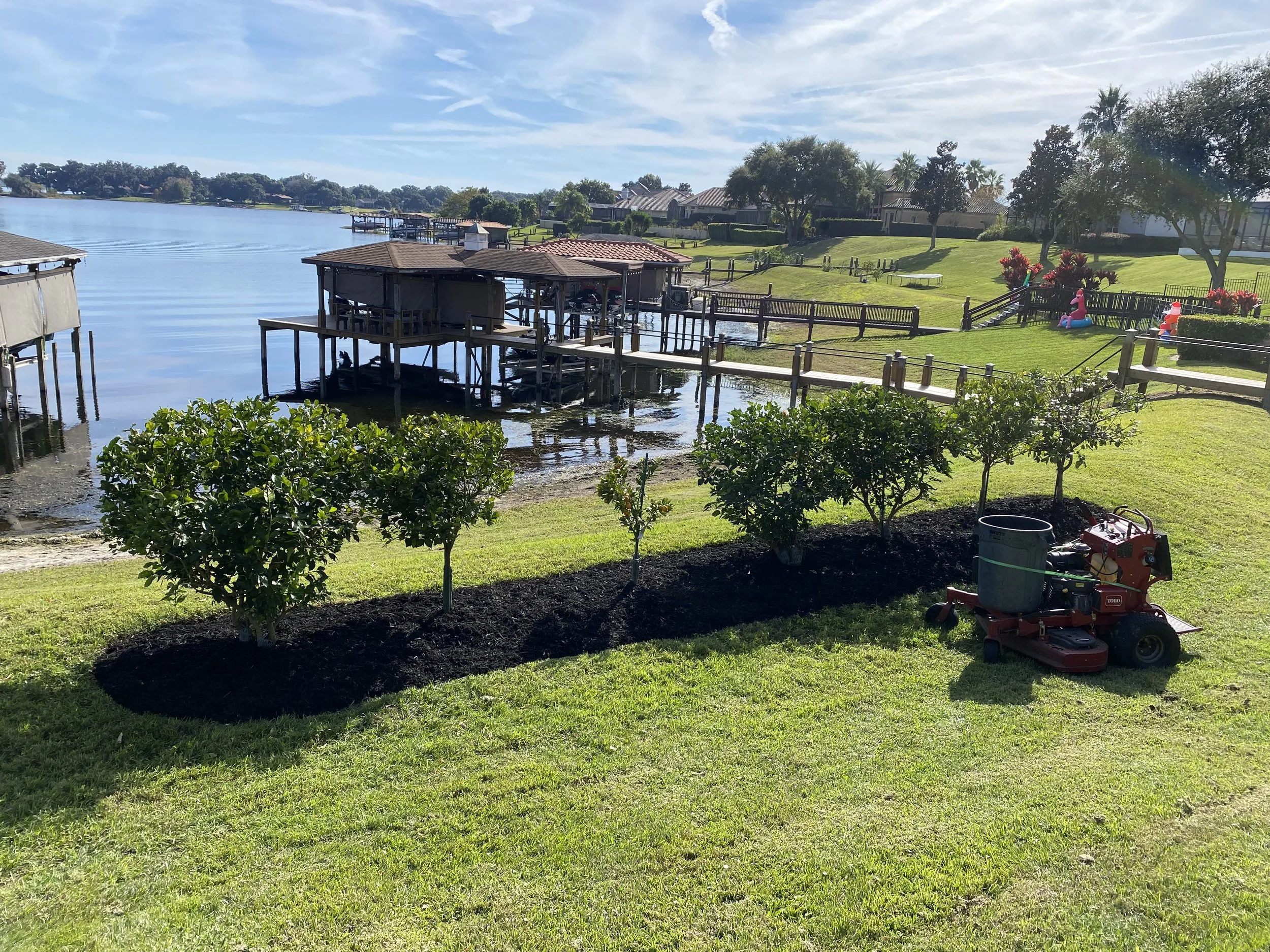 A lakeside scene with a wooden dock extending over calm water, green grass, trees, a small playground with inflatable animals, and residential houses in the background under a partly cloudy sky.