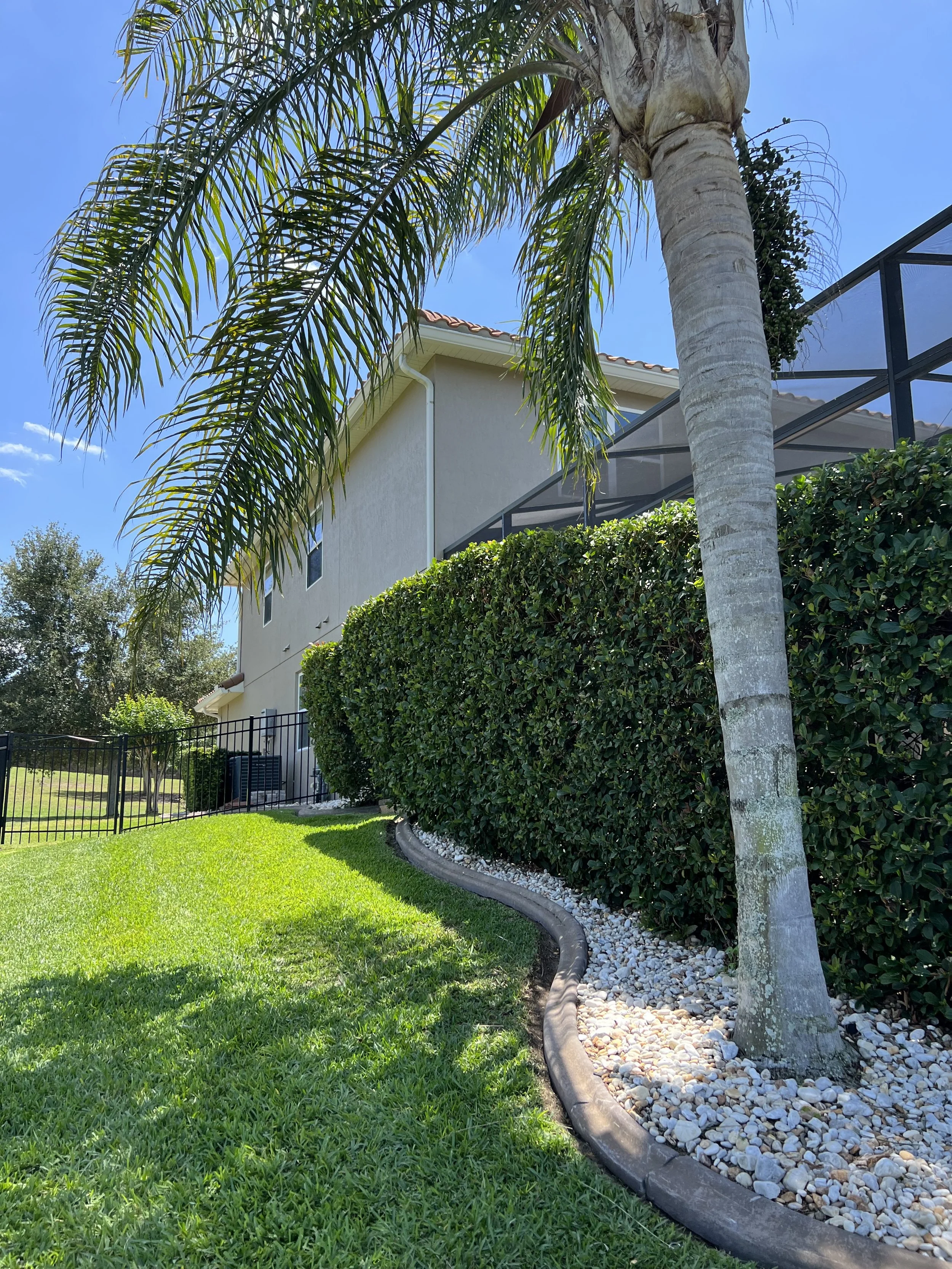 A view of a backyard with lush green lawn, a tall palm tree, and a beige house with a screened-in porch, under a bright blue sky.