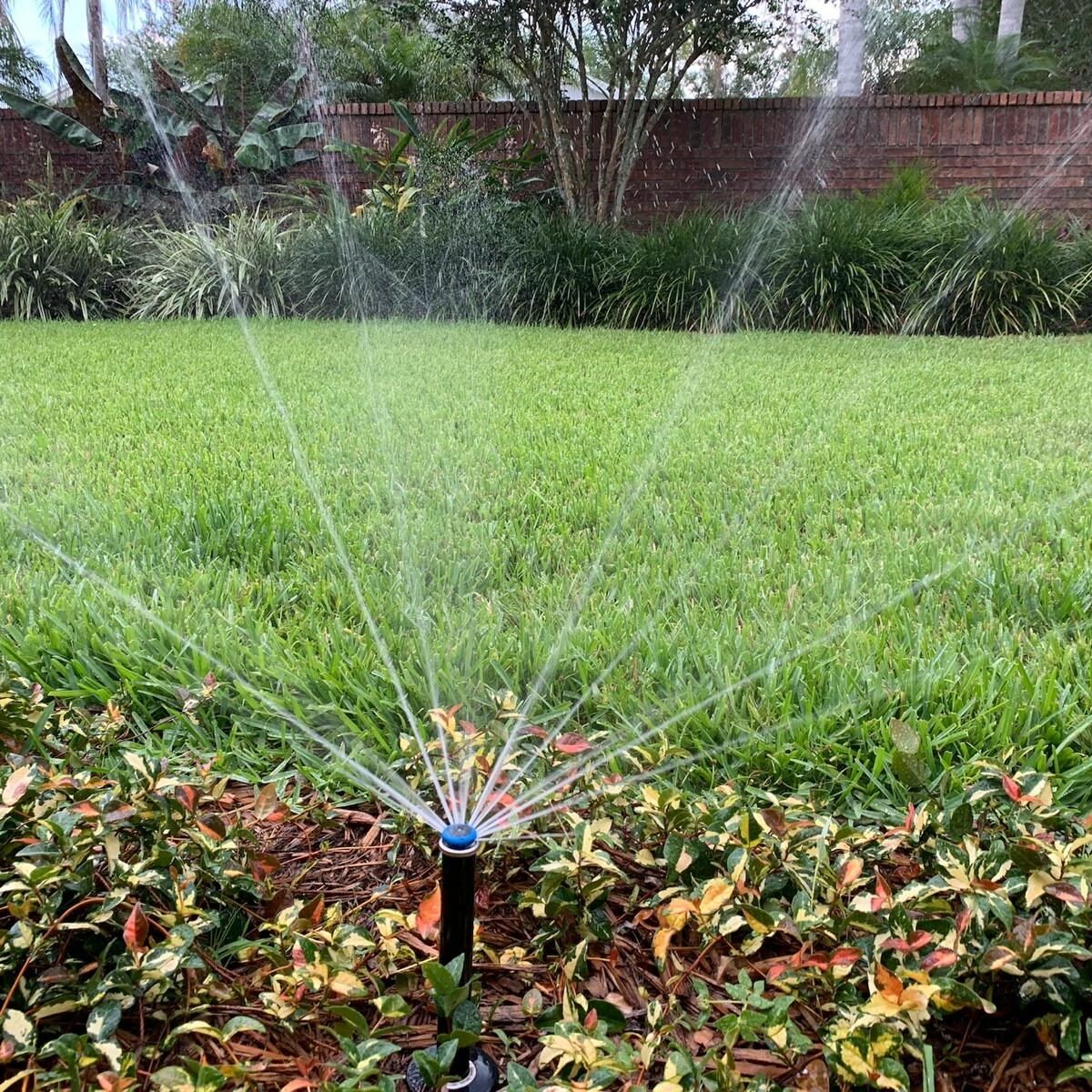 Garden with a sprinkler watering the grass and plants, brick wall, trees, and shrubs in the background.
