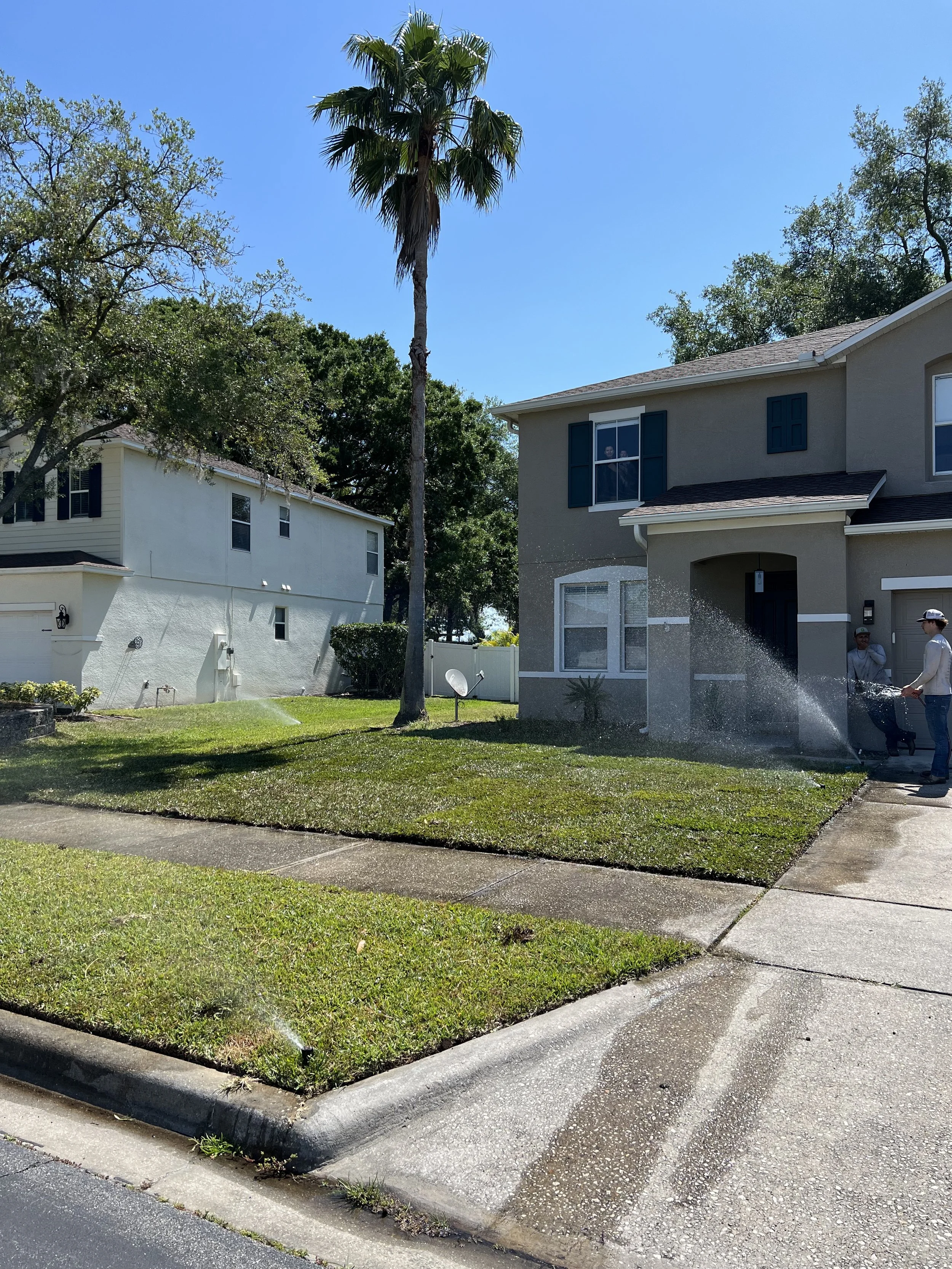 A residential neighborhood with two houses, a tall palm tree, green grass, and a backyard sprinkler watering the lawn under a clear blue sky.