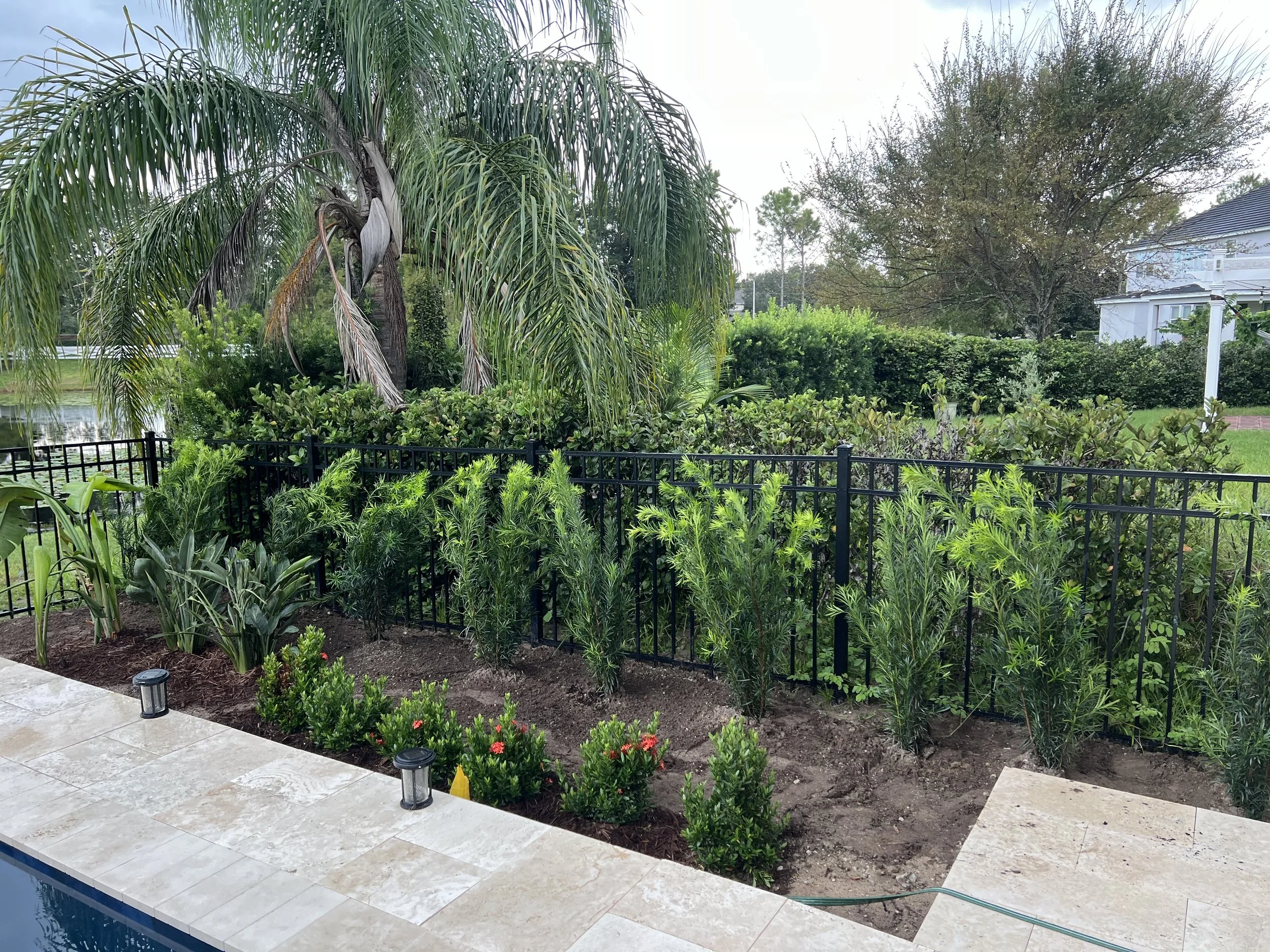 Backyard garden with lush green shrubs, a tall palm tree, various trees, and a white house in the background. There is a tiled patio with installation lights along the edge of the garden.