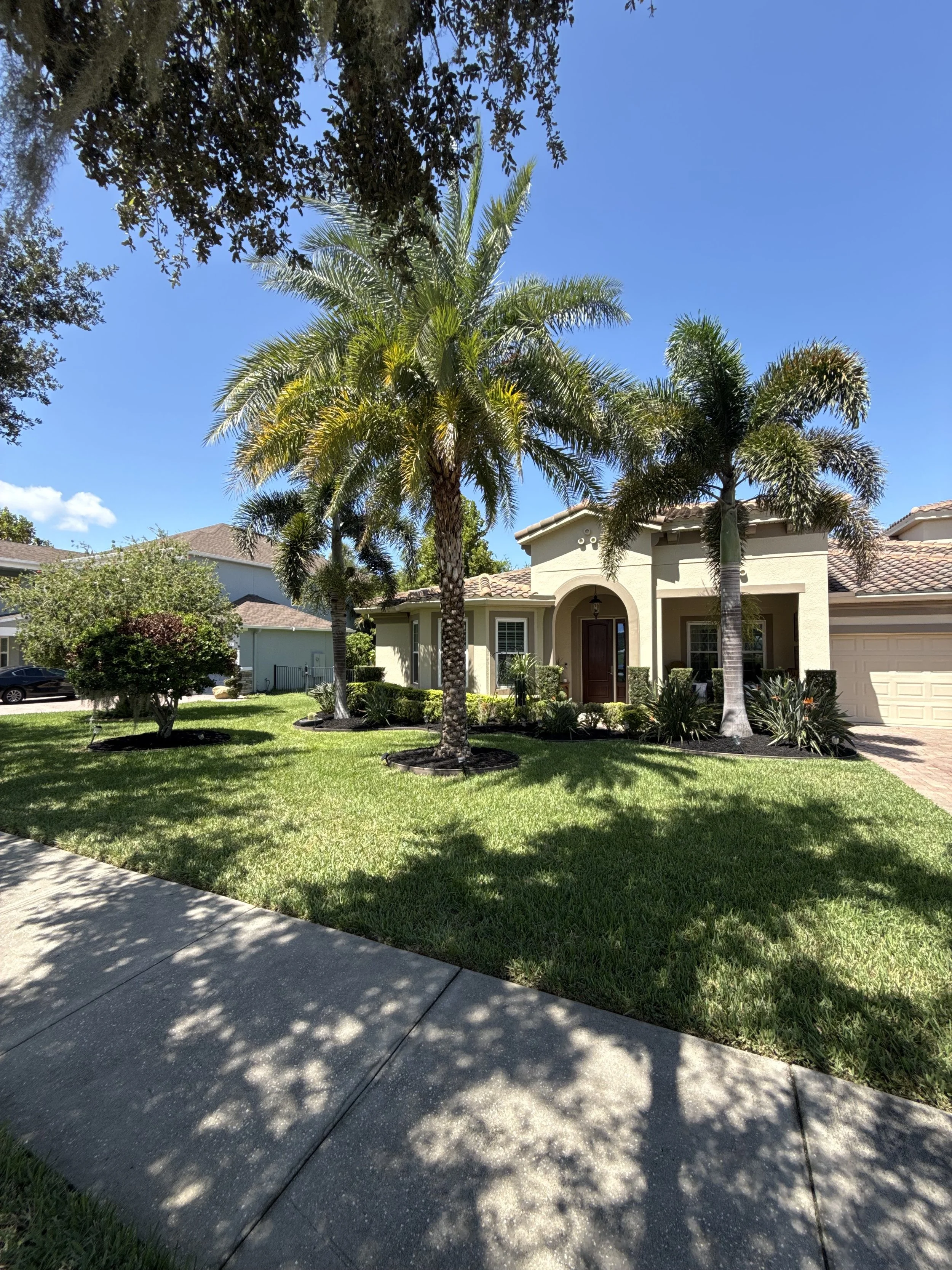 Front yard of a house with a green lawn, two palm trees, bushes, and a driveway in a sunny neighborhood.
