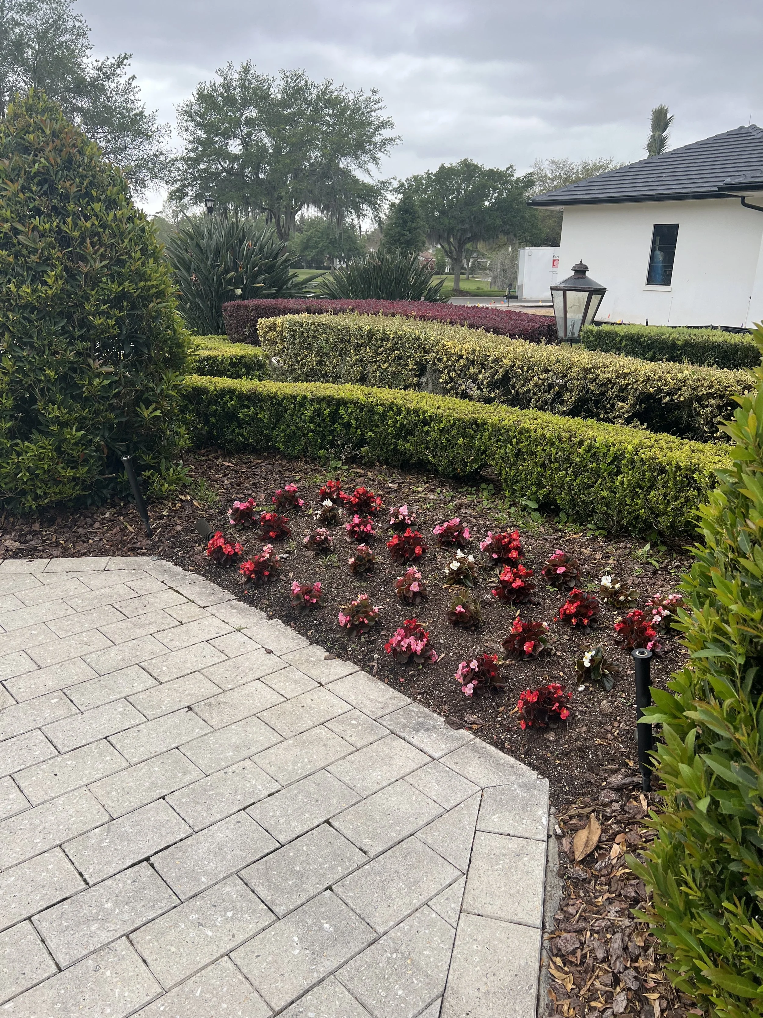 A landscaped garden with trimmed bushes, flowering plants, and a paved walkway, adjacent to a white building with a dark roof on a cloudy day.