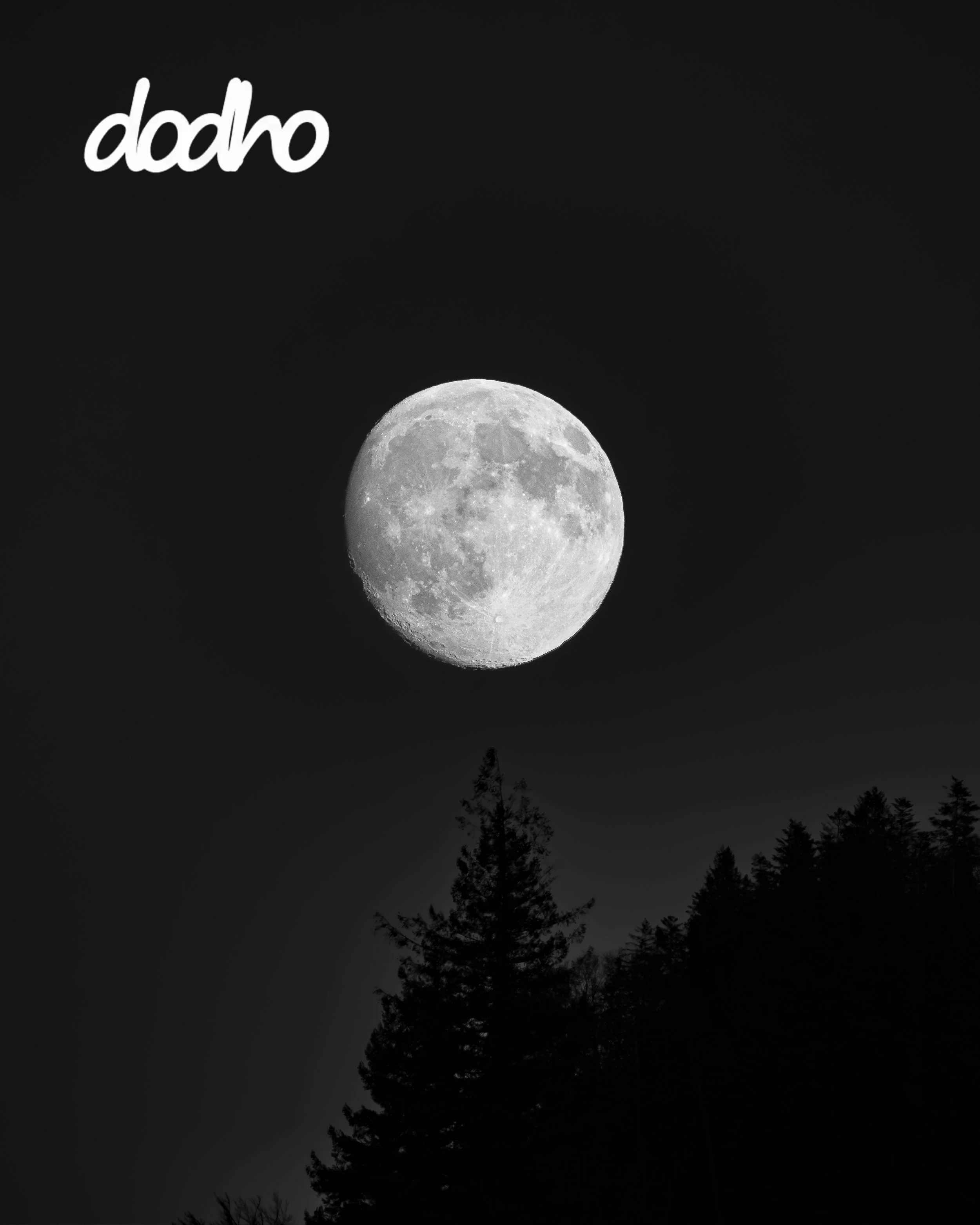 Alt-Text: Schwarz-Weiss-Fotografie «Silent Gravity» von Ariane Totzke: Ein heller Vollmond schwebt über den dunklen Silhouetten eines Waldes.