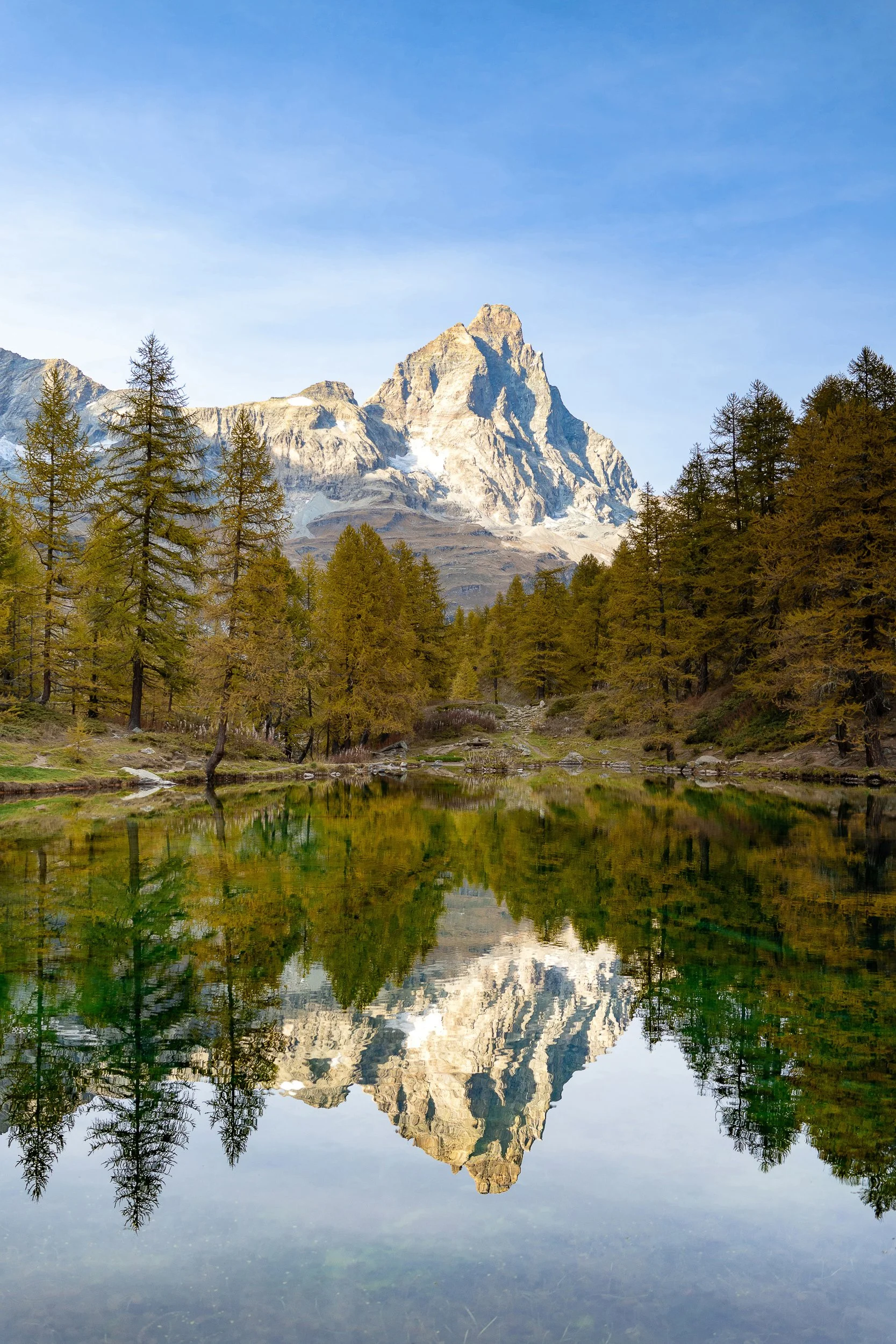 Matterhorn spiegelt sich in einem ruhigen Bergsee, umgeben von Lärchen und alpiner Landschaft in den Schweizer Alpen