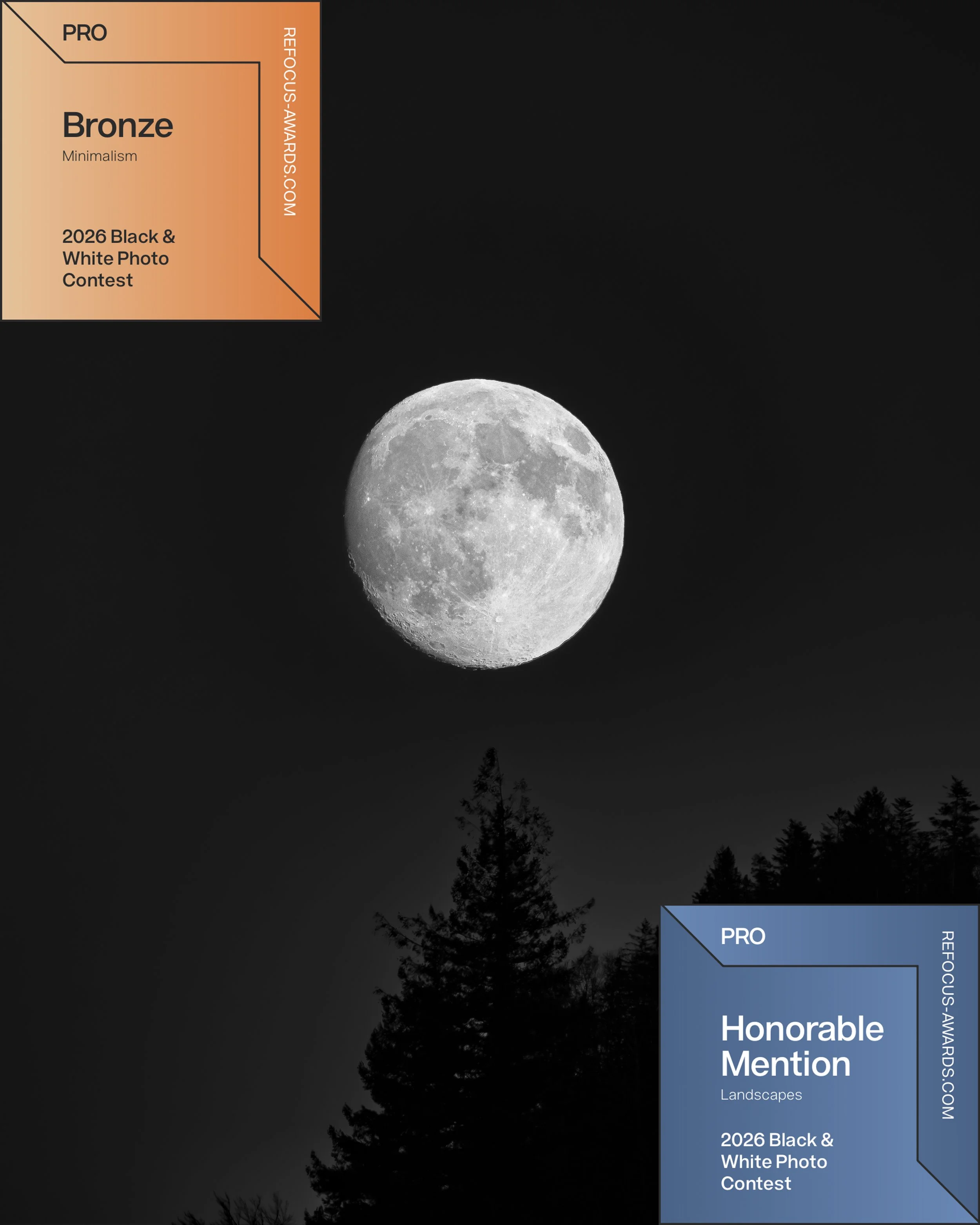 Schwarz-weißer Mond über einer Baumkrone bei Nacht, mit Abzeichen für einen Fotowettbewerb, der verschiedene Auszeichnungen wie Bronze, Honorable Mention und PRO-Kategorien enthält.