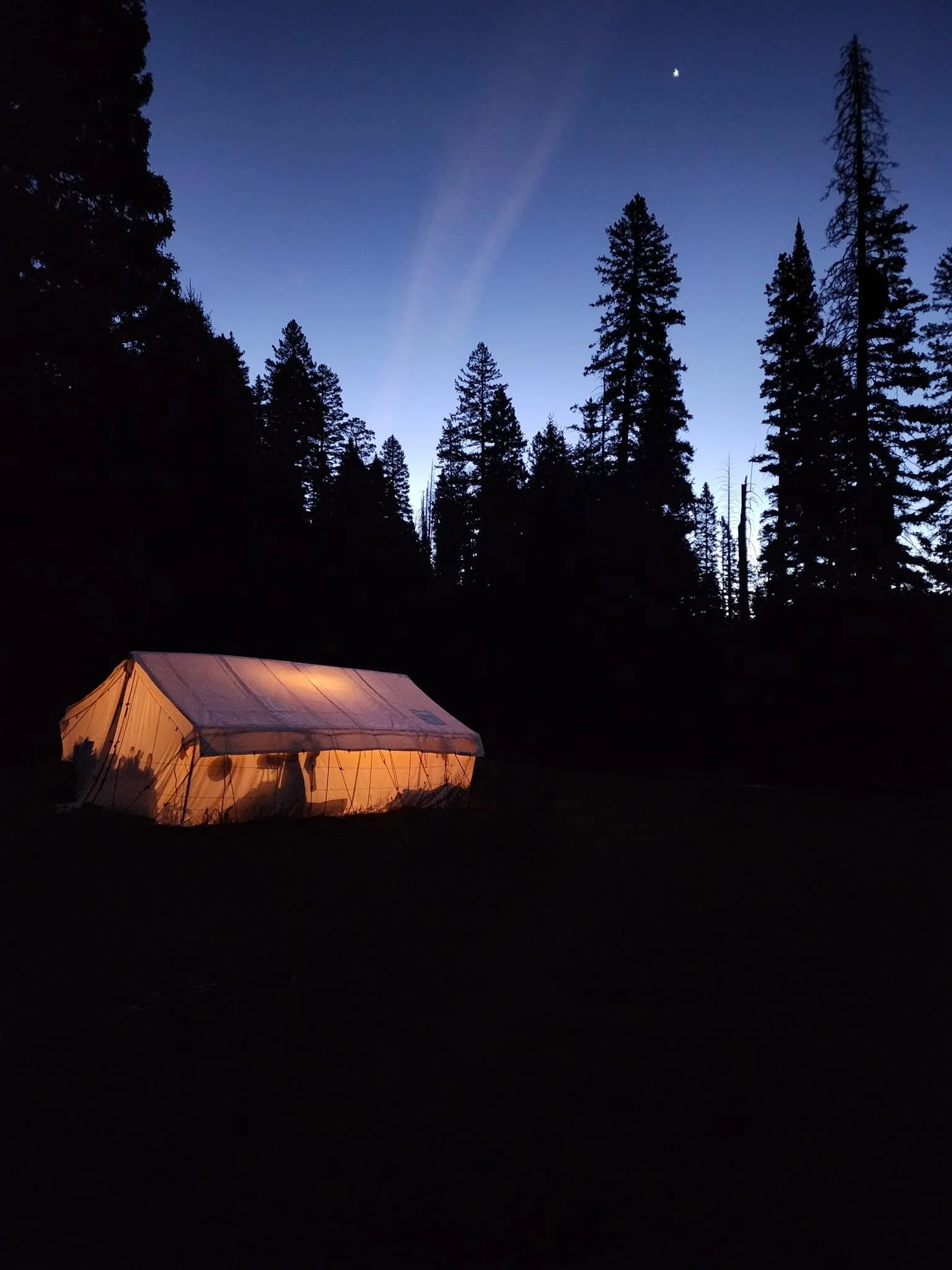 A lit canvas wall tent beneath silhouetted pine trees and a bright point in the twilight sky.