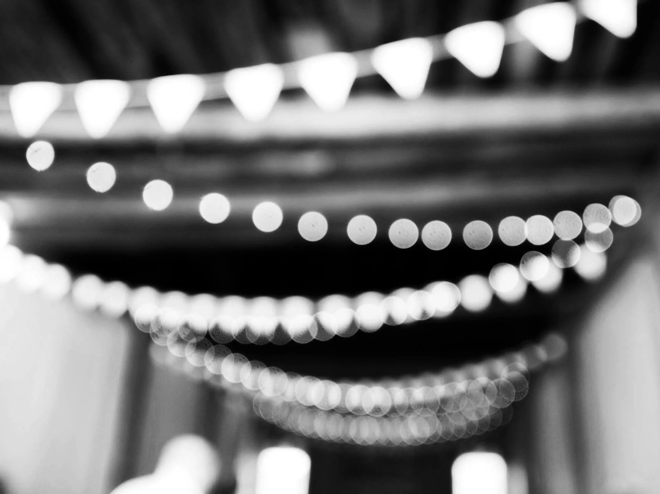 From your first inquiry to final delivery, Wildly Rooted Productions makes capturing your wedding or event effortless, seamless, and enjoyable.