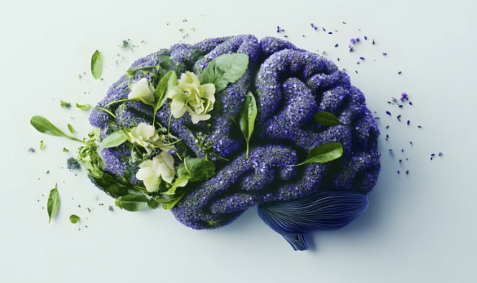 Cognitive Health &amp; Dementia Prevention: Start Today for a Stronger Brain Tomorrow