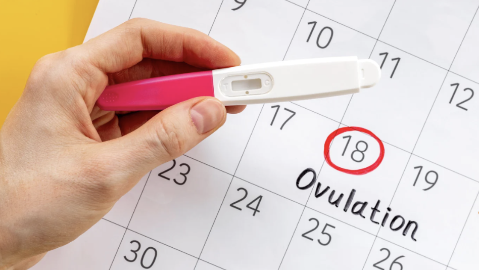 Why Naturopathic Medicine Can Be So Supportive When Planning for Pregnancy