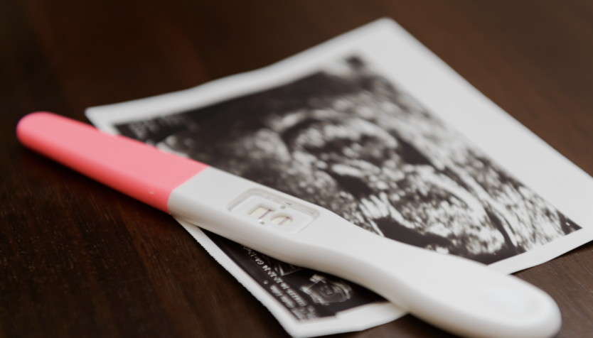Why Early Pregnancy Assessment Matters: Supporting a Healthy Pregnancy from the Start