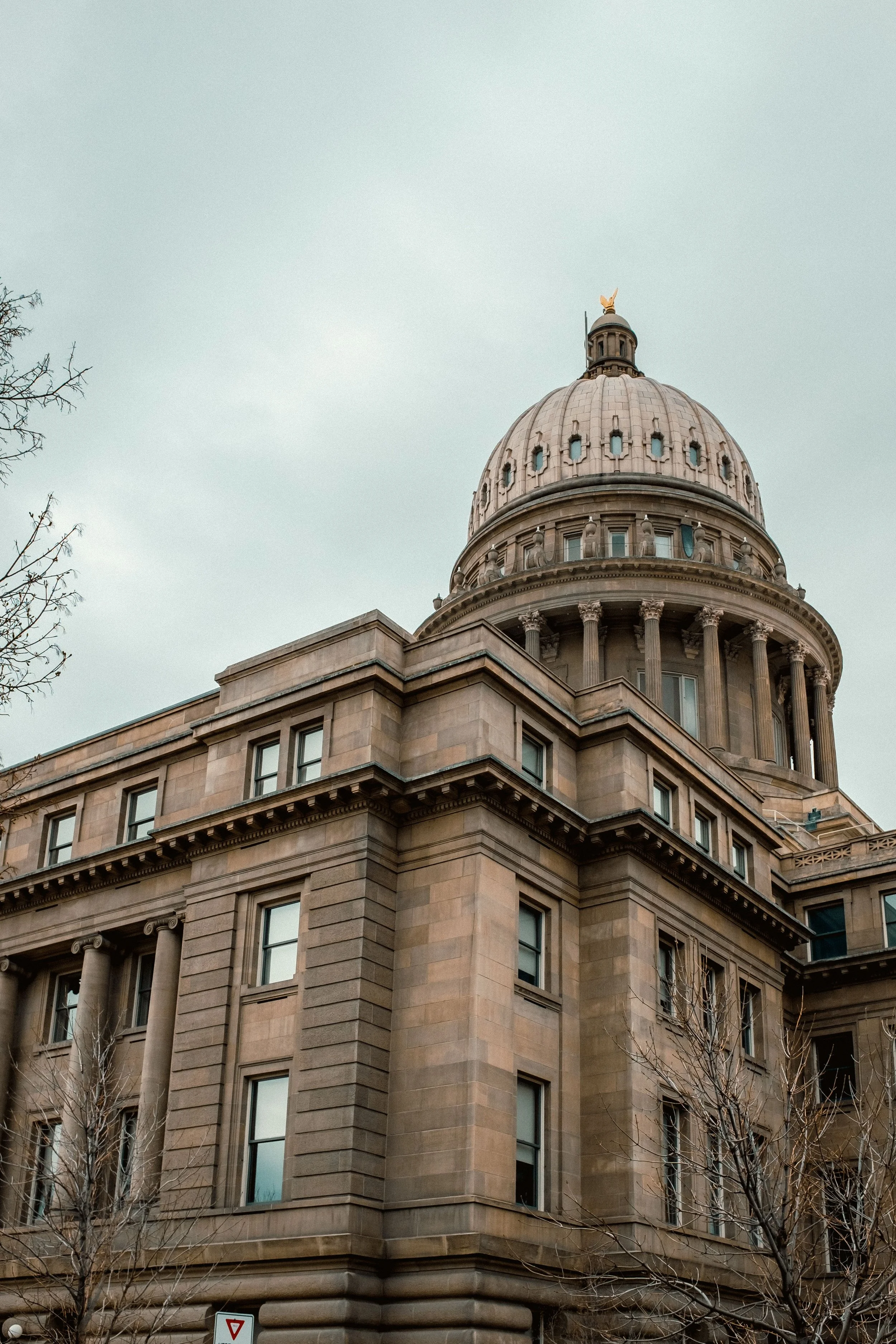 A historic building with a large dome, classical architectural details, and multiple windows, with leafless trees in the foreground and a cloudy sky in the background.