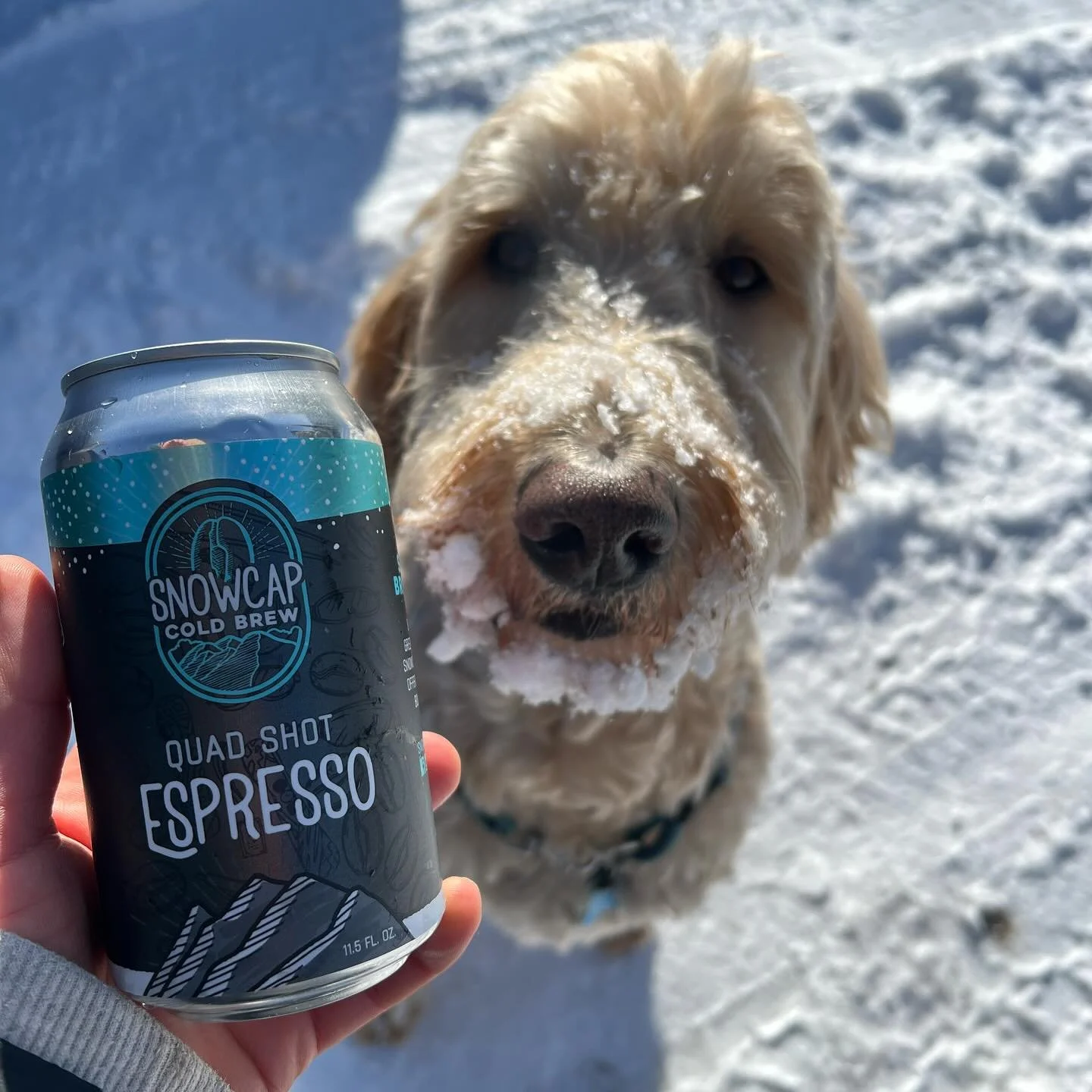 Pairs well with Christmas tree hunting &amp; colder days❄️❄️❄️

(rain, go away!!!!)
