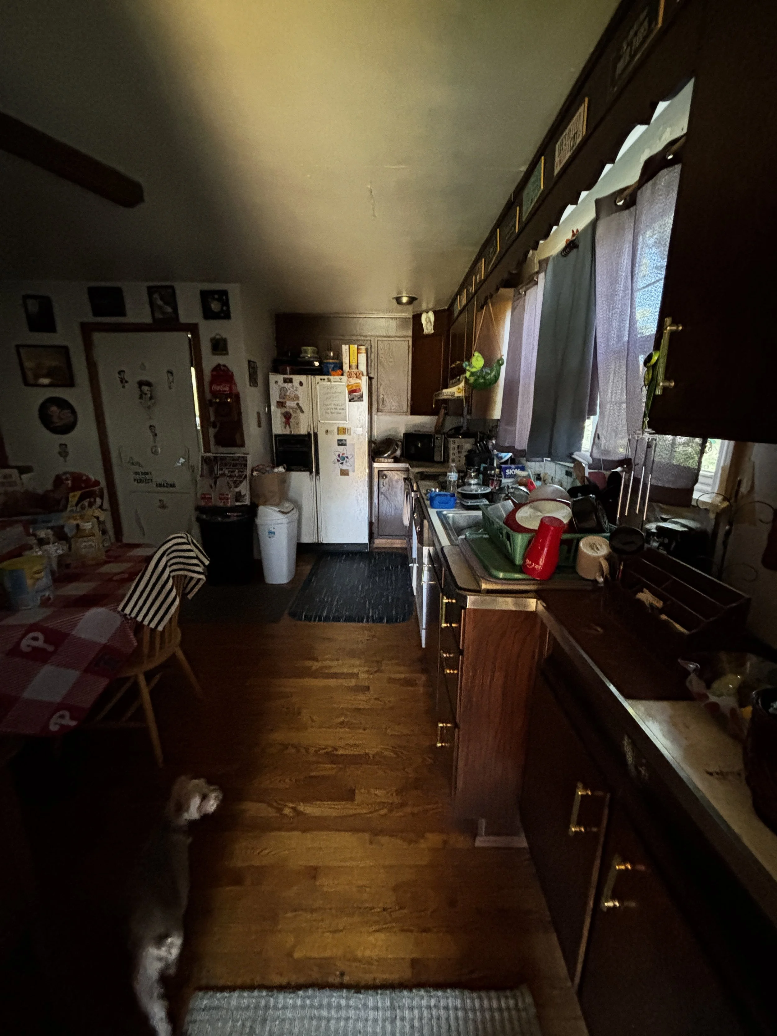 IMG_2859.jpeg