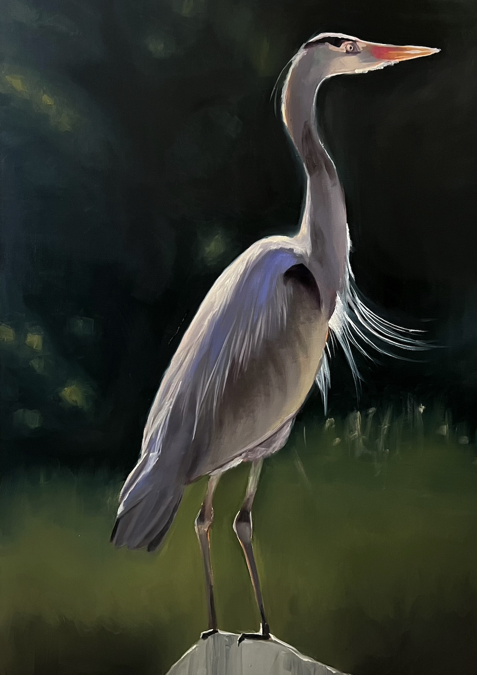 A painting of a heron standing on a rock, with a dark background.
