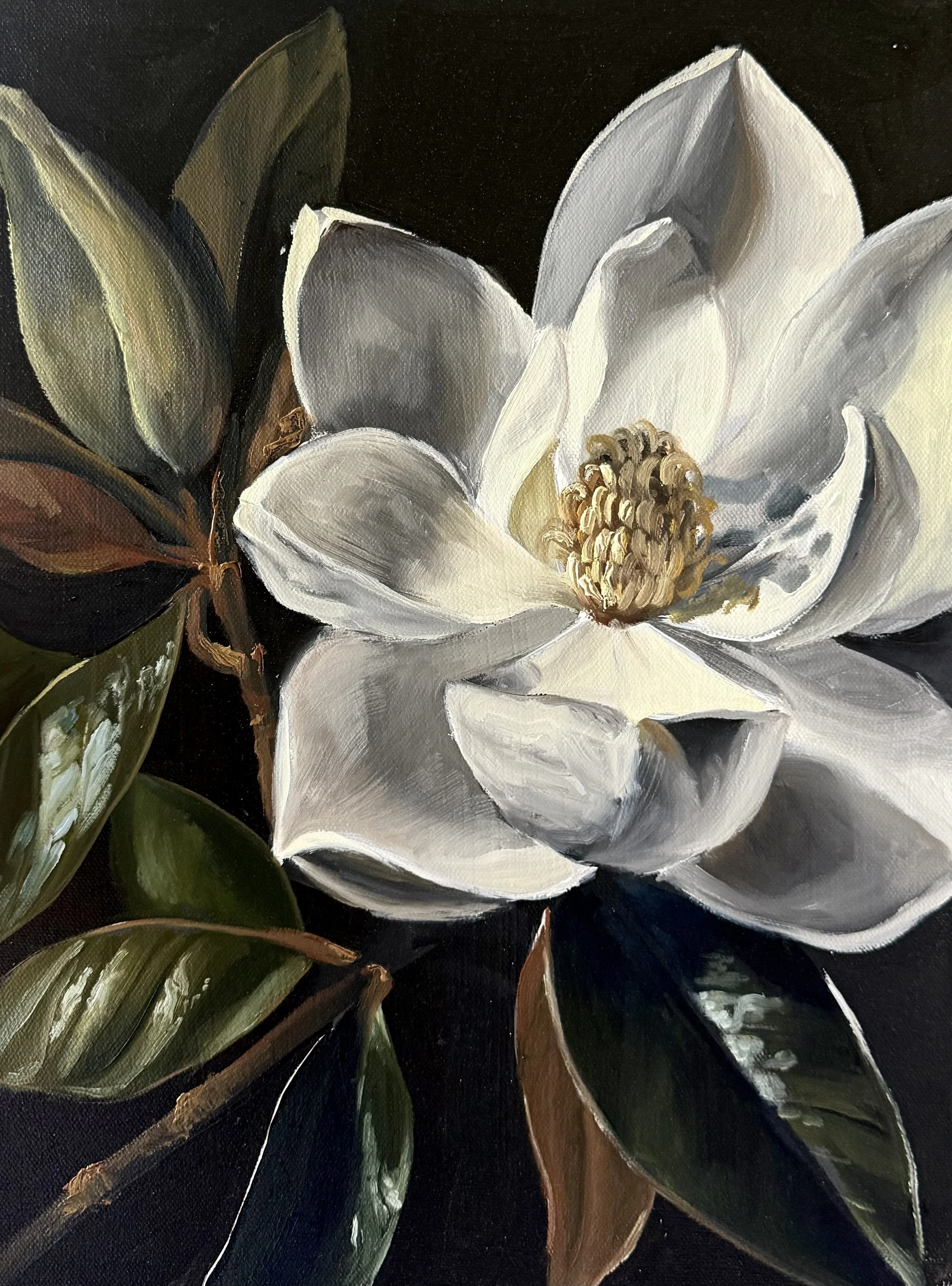 Close-up of white magnolia flowers and green leaves against a dark background.