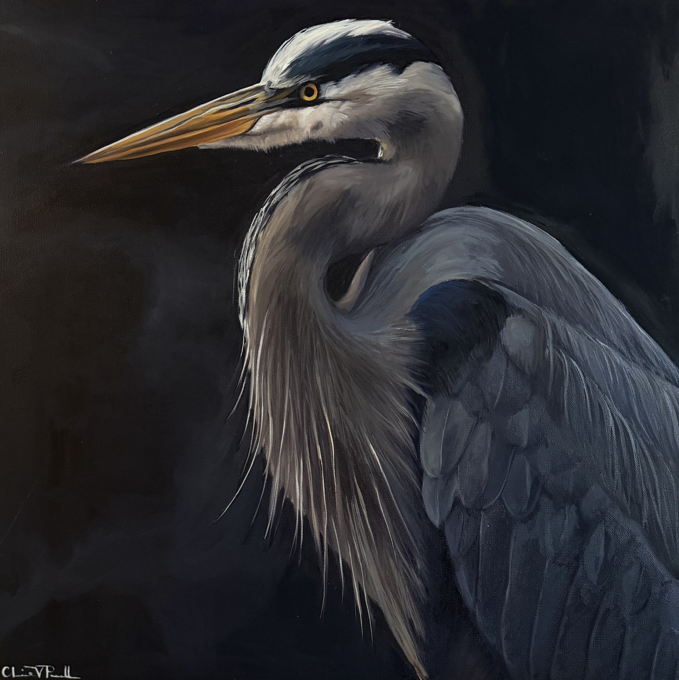 Painting of a heron with a dark background, showcasing detailed feathers and a long beak.