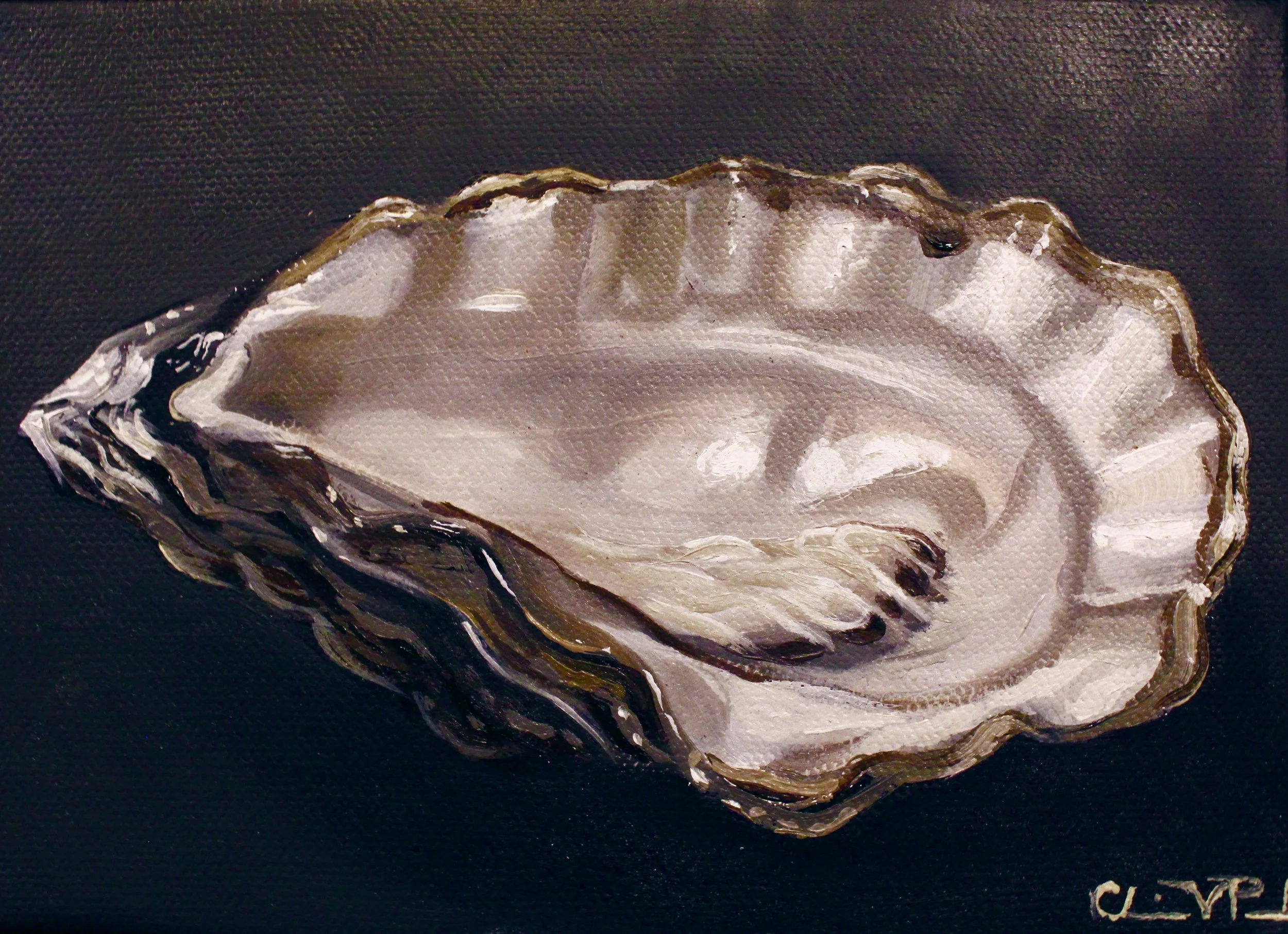 A close-up view of a single oyster shell with a dark background.