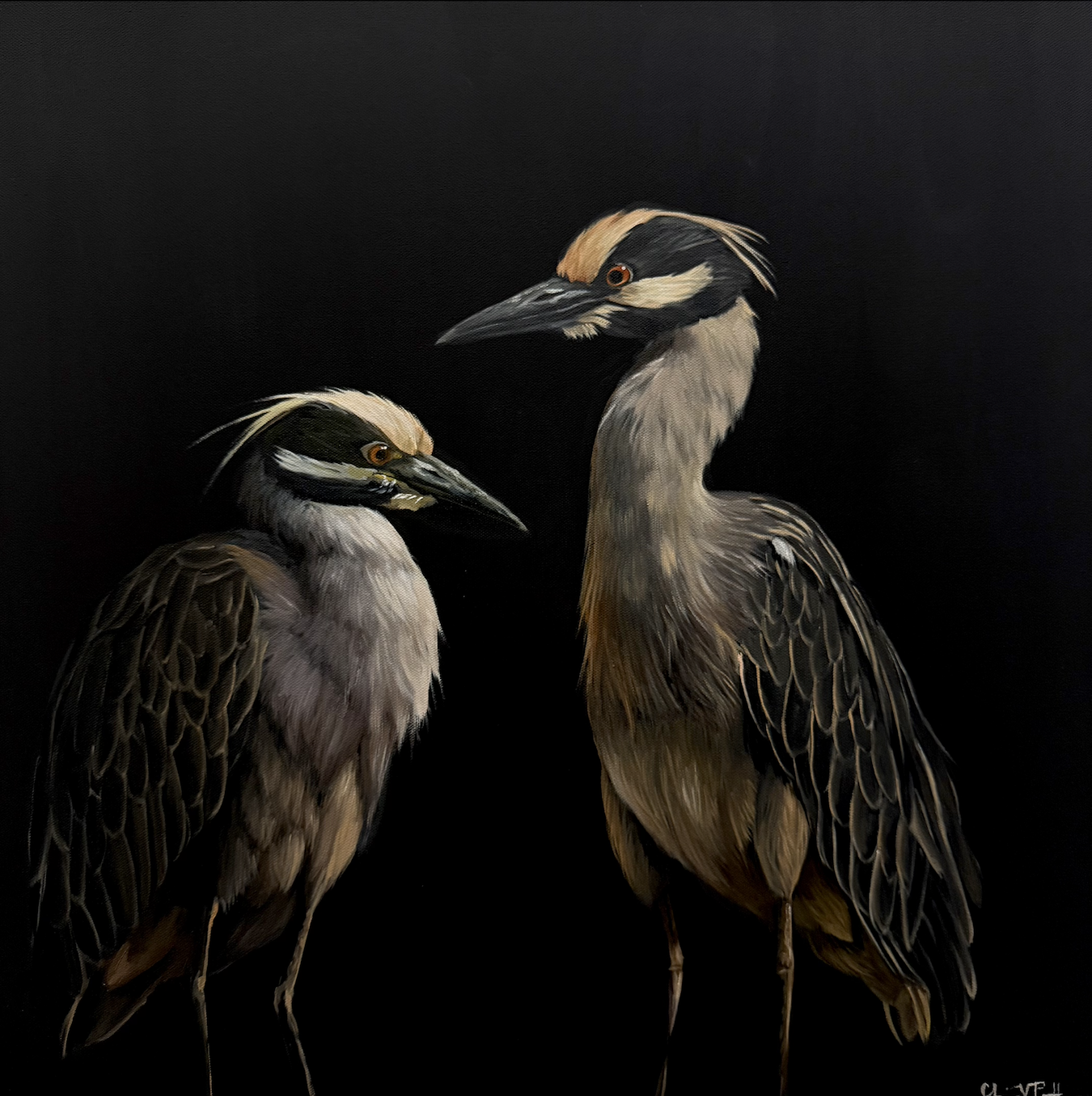 Painting of two herons with brown and beige feathers against a black background.
