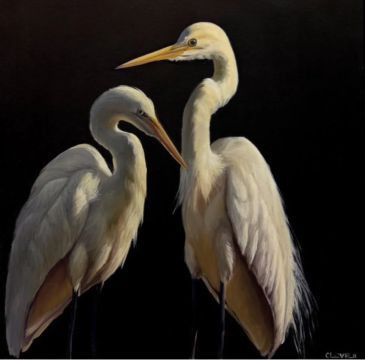 Painting of two white herons with long beaks and soft feathers standing against a dark background.
