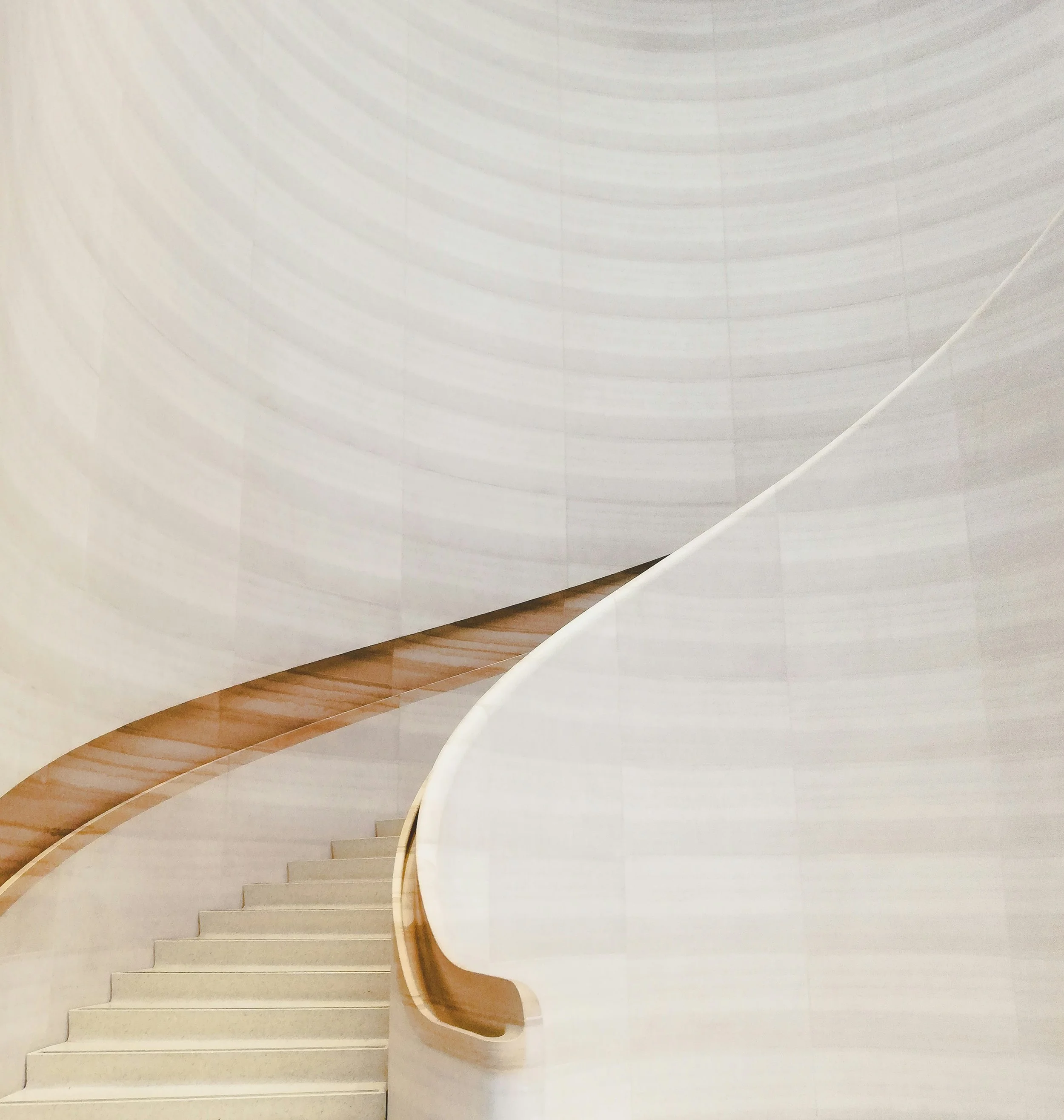 Interior view of a modern museum or gallery space featuring a curved, white architectural wall with a wooden handrail and stairs.
