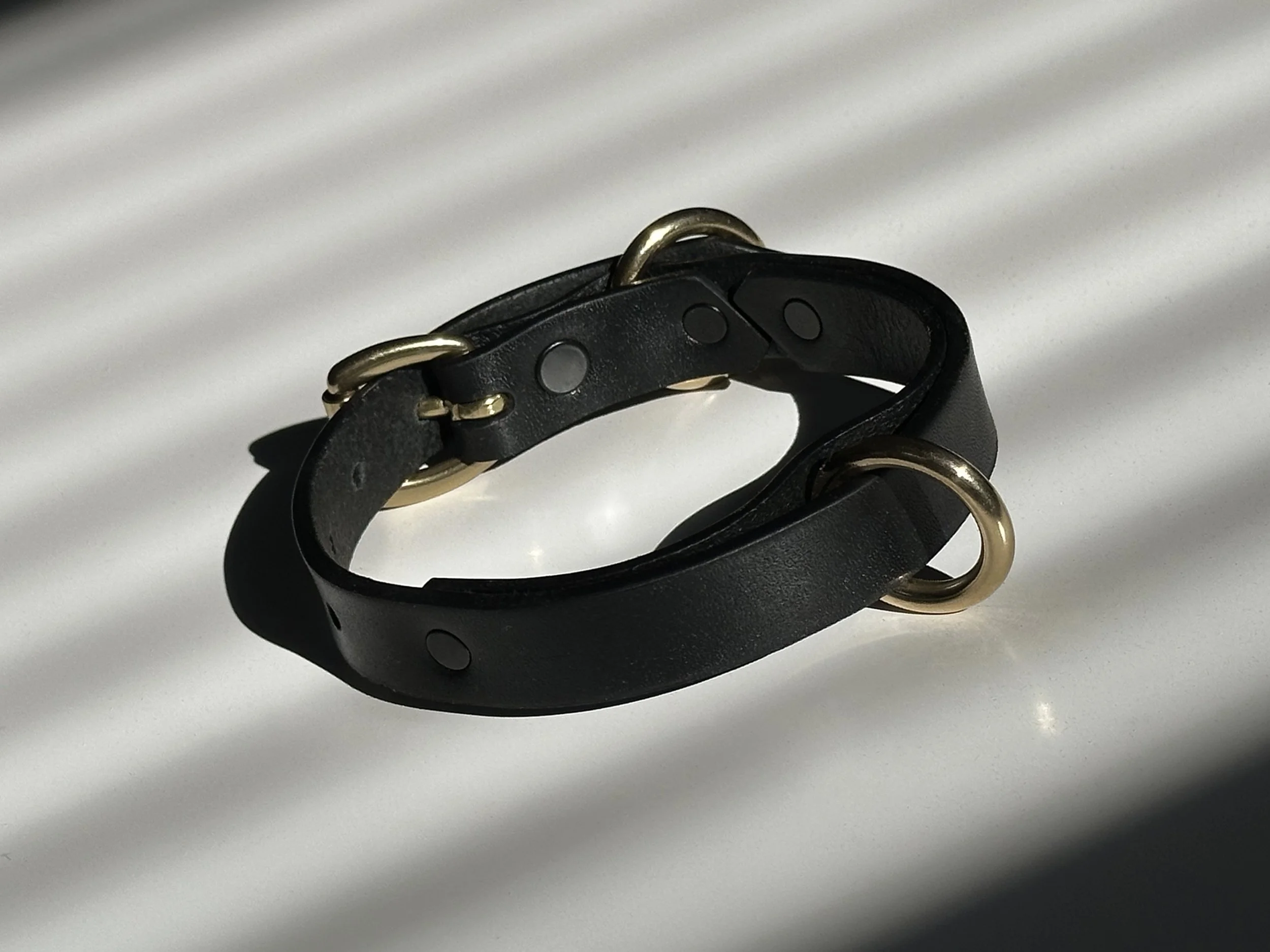 Cassius_Classic ring run collar_black brass_impact shot.jpg (Copy)
