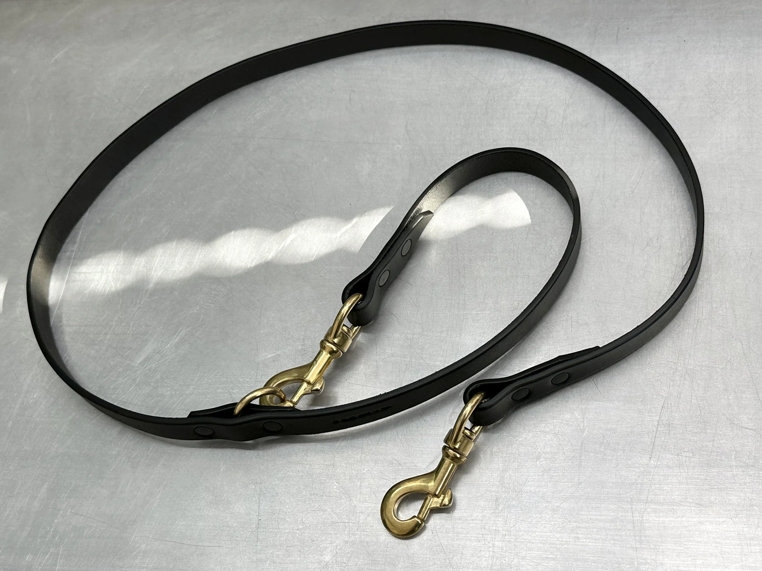 Cassius_Tango leash_black brass_whole.jpg