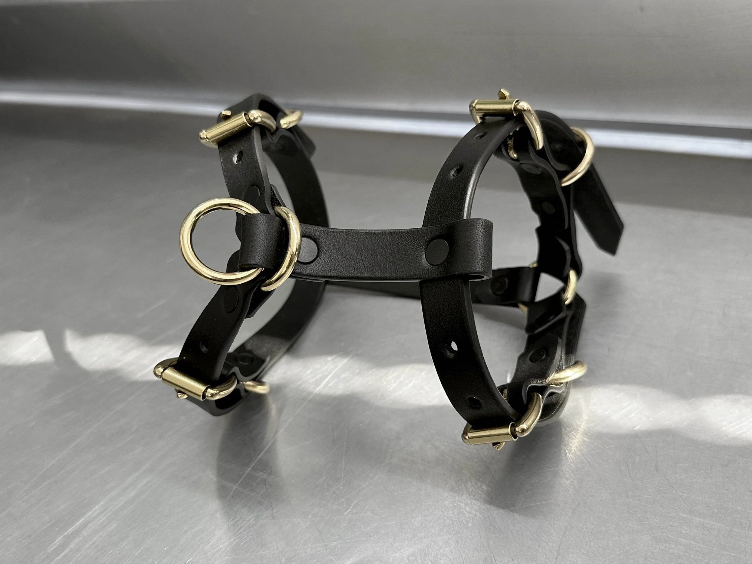 Cassius_Harley harness_black brass_top.jpg