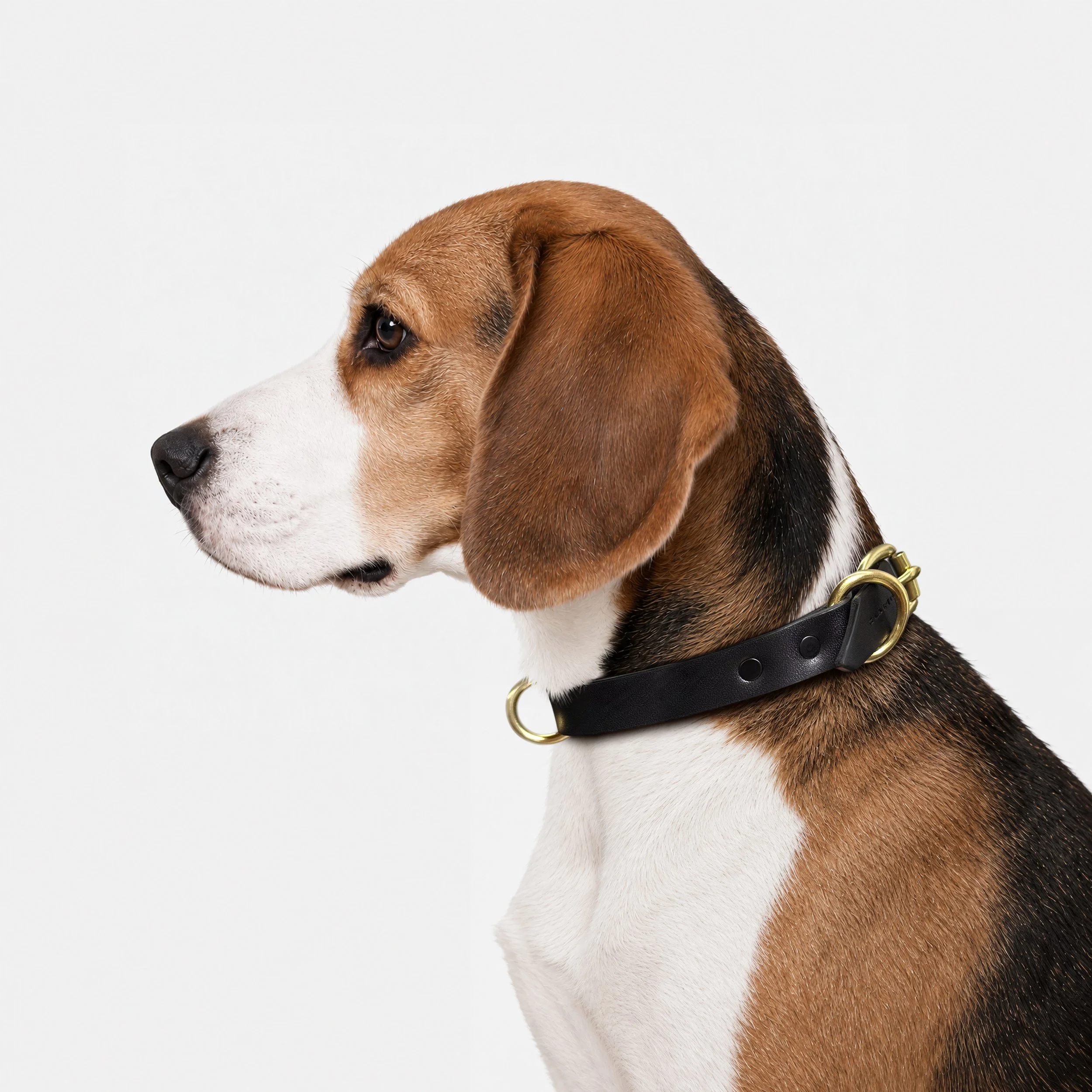 Numa Running Ring Collar