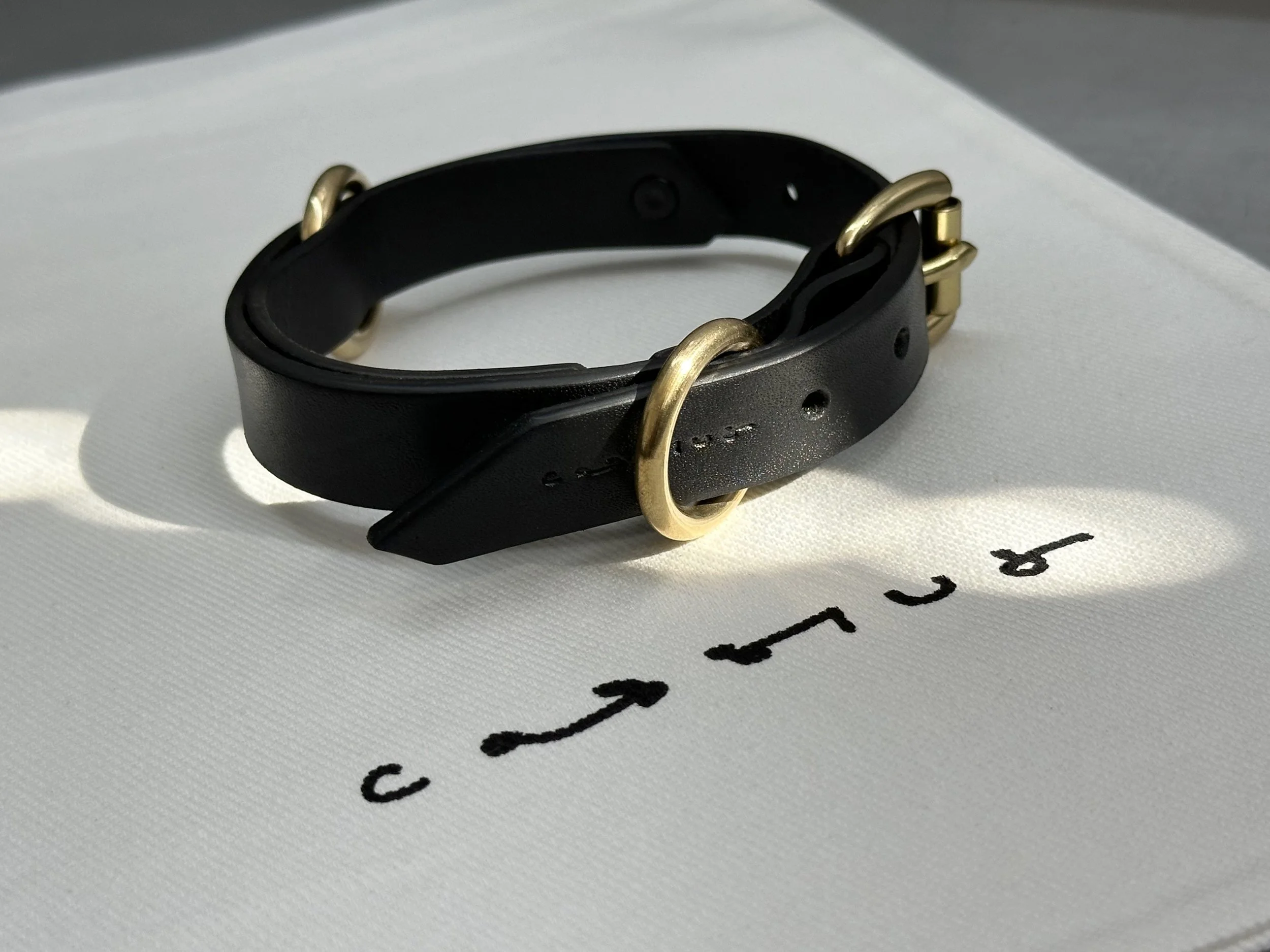 Cassius_Classic ring run collar_black brass_with bag.jpg (Copy)
