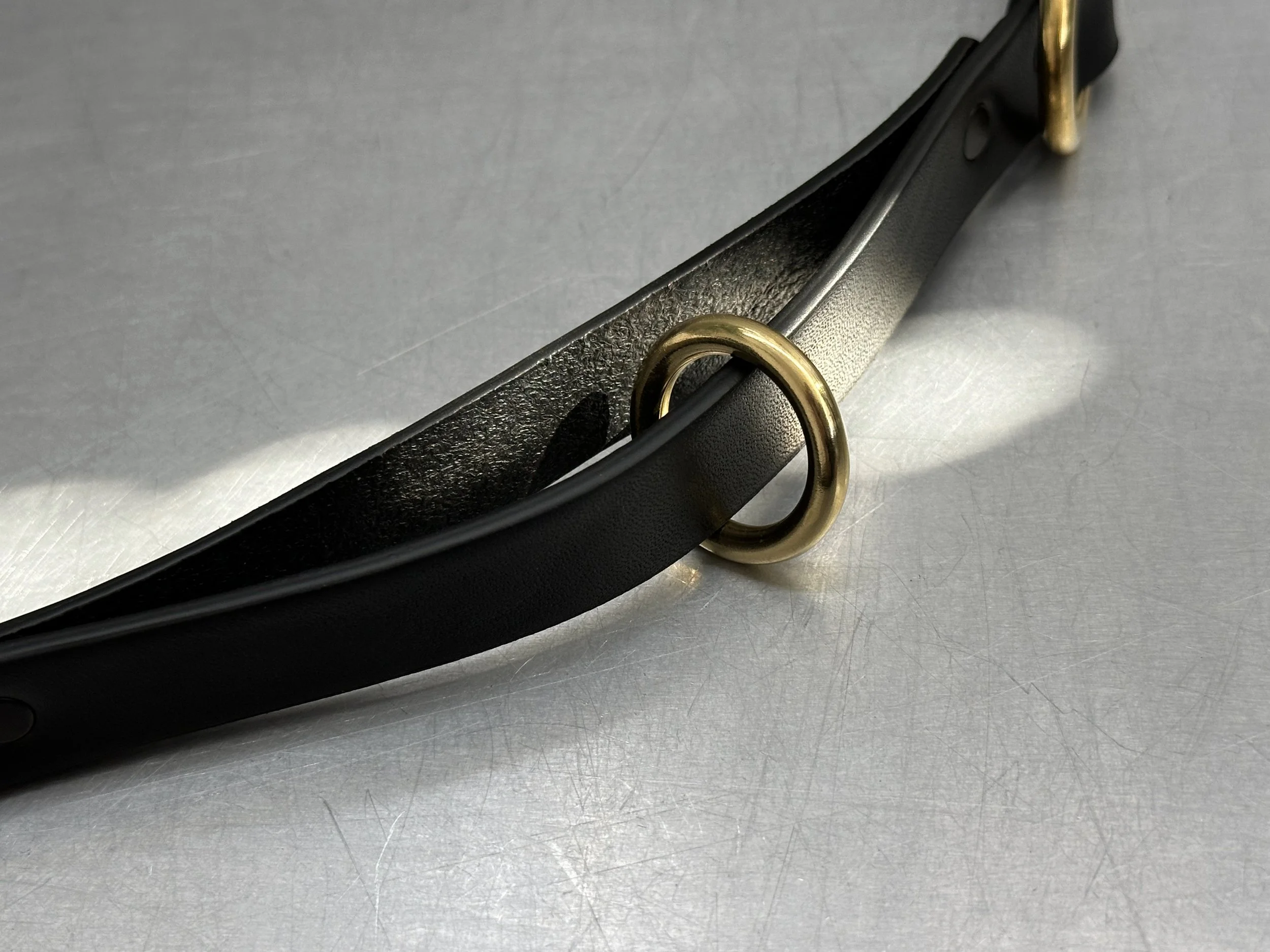Cassius_Classic ring run collar_black brass_ring.jpg (Copy)