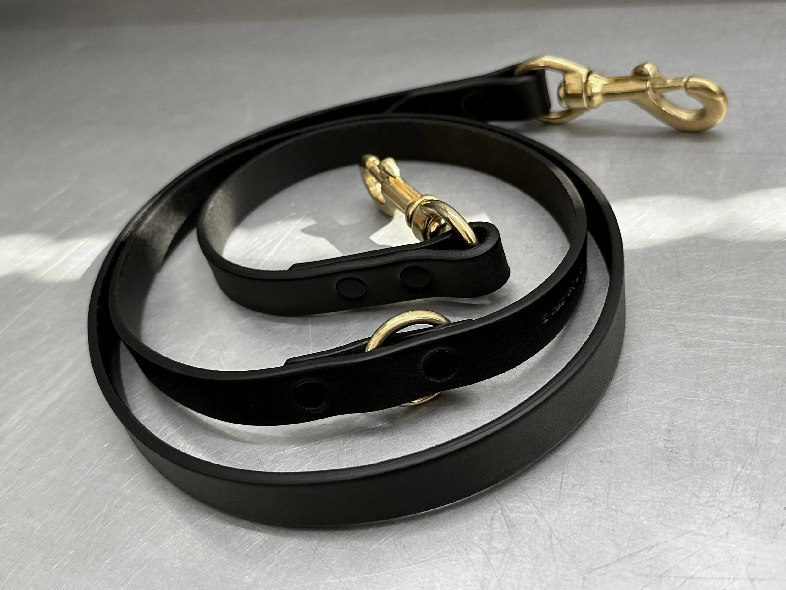Cassius_Tango leash_black brass_rolled.jpg