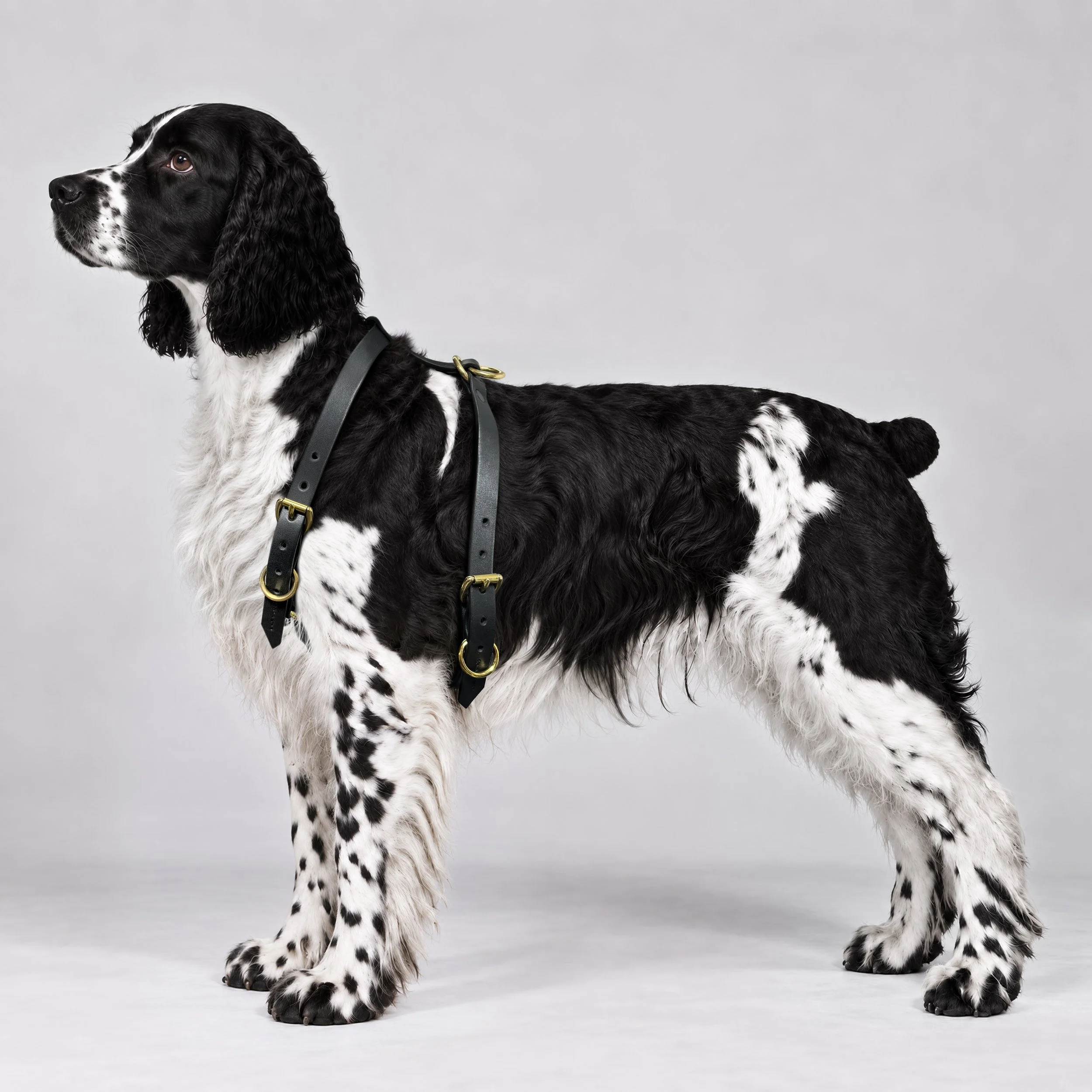 Vero Field Harness