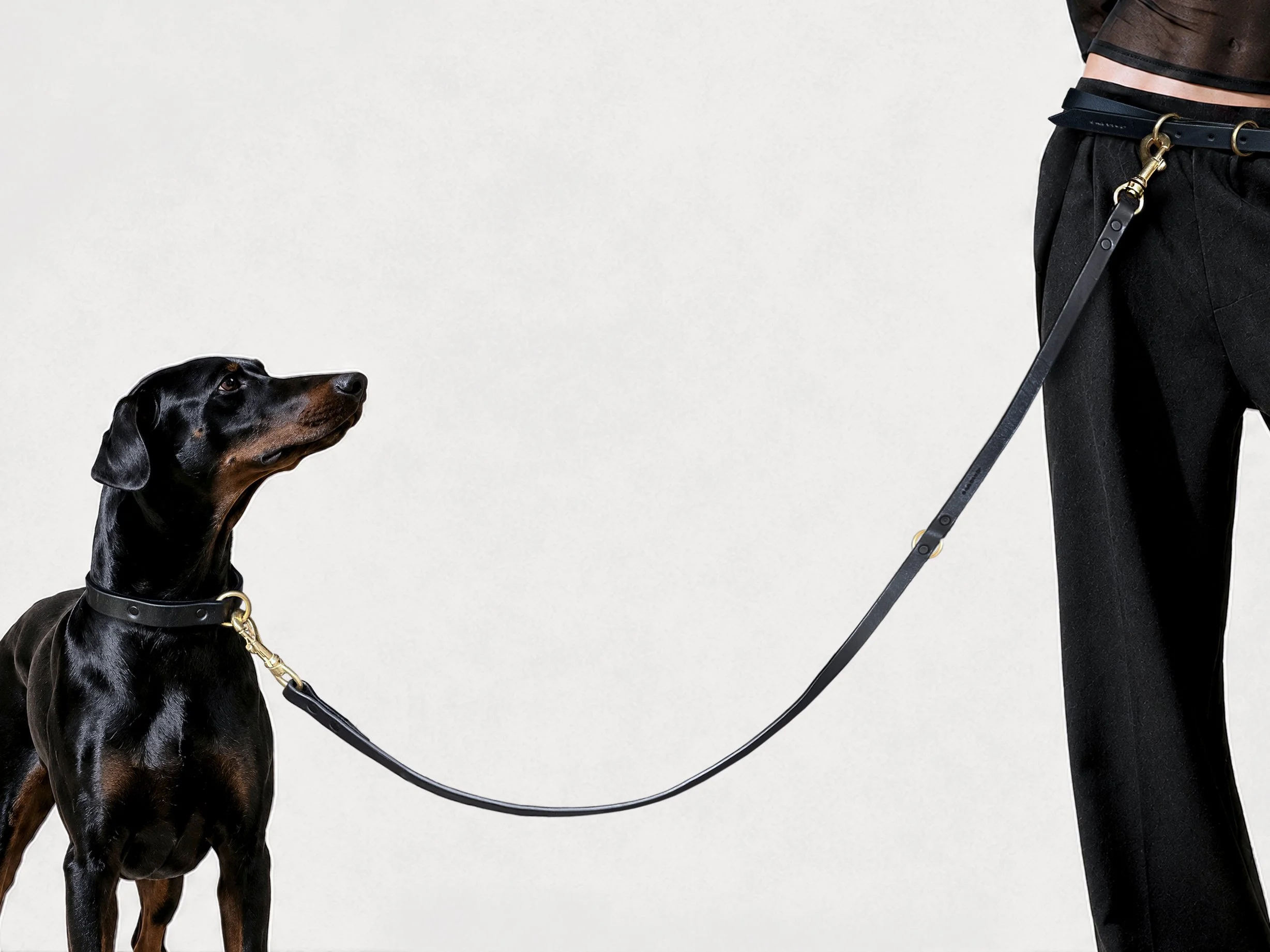 Janus Tango Leash