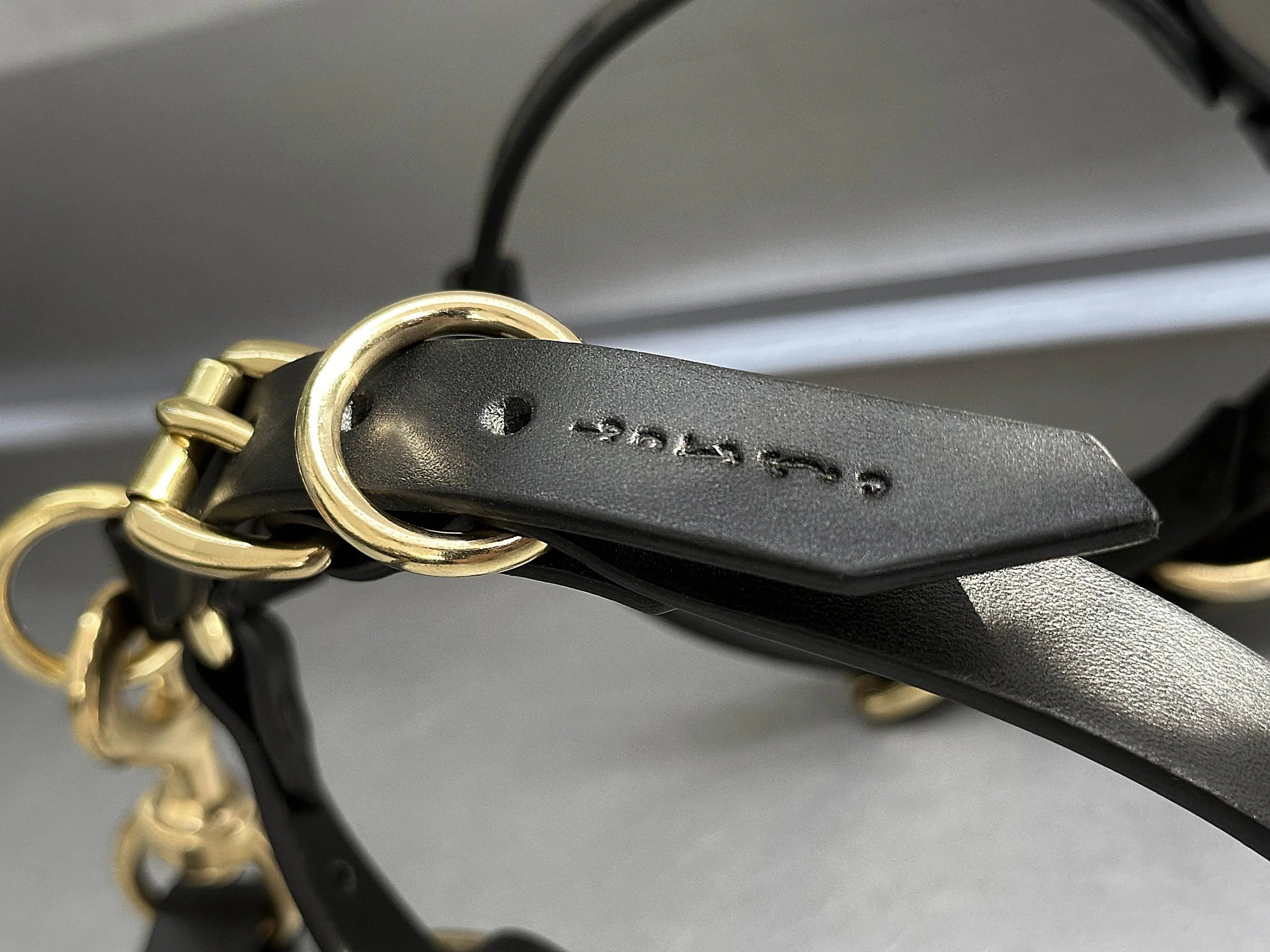 Cassius_Harley harness_black brass_focus.jpg