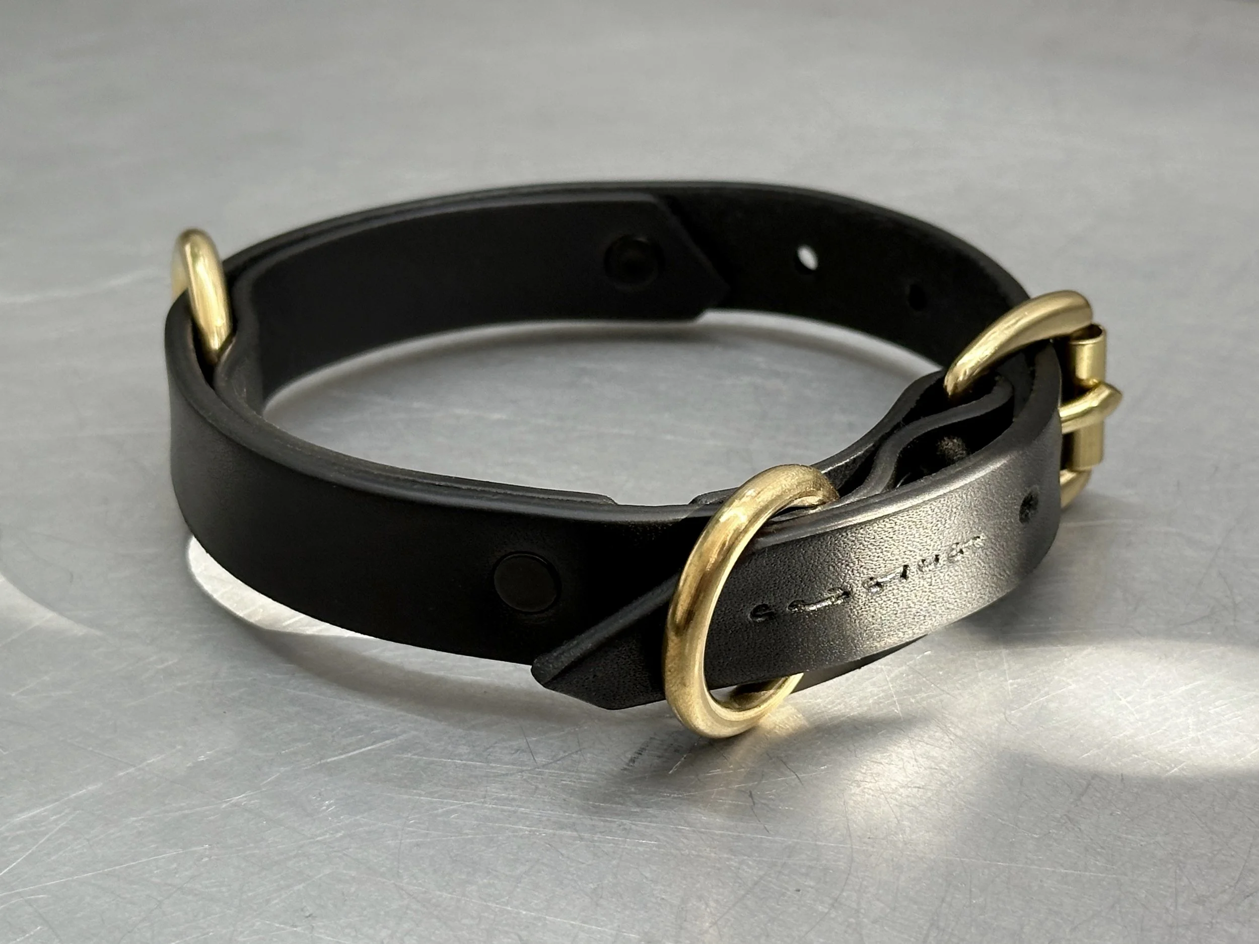 Cassius_Classic ring run collar_black brass_main 3.jpg (Copy)