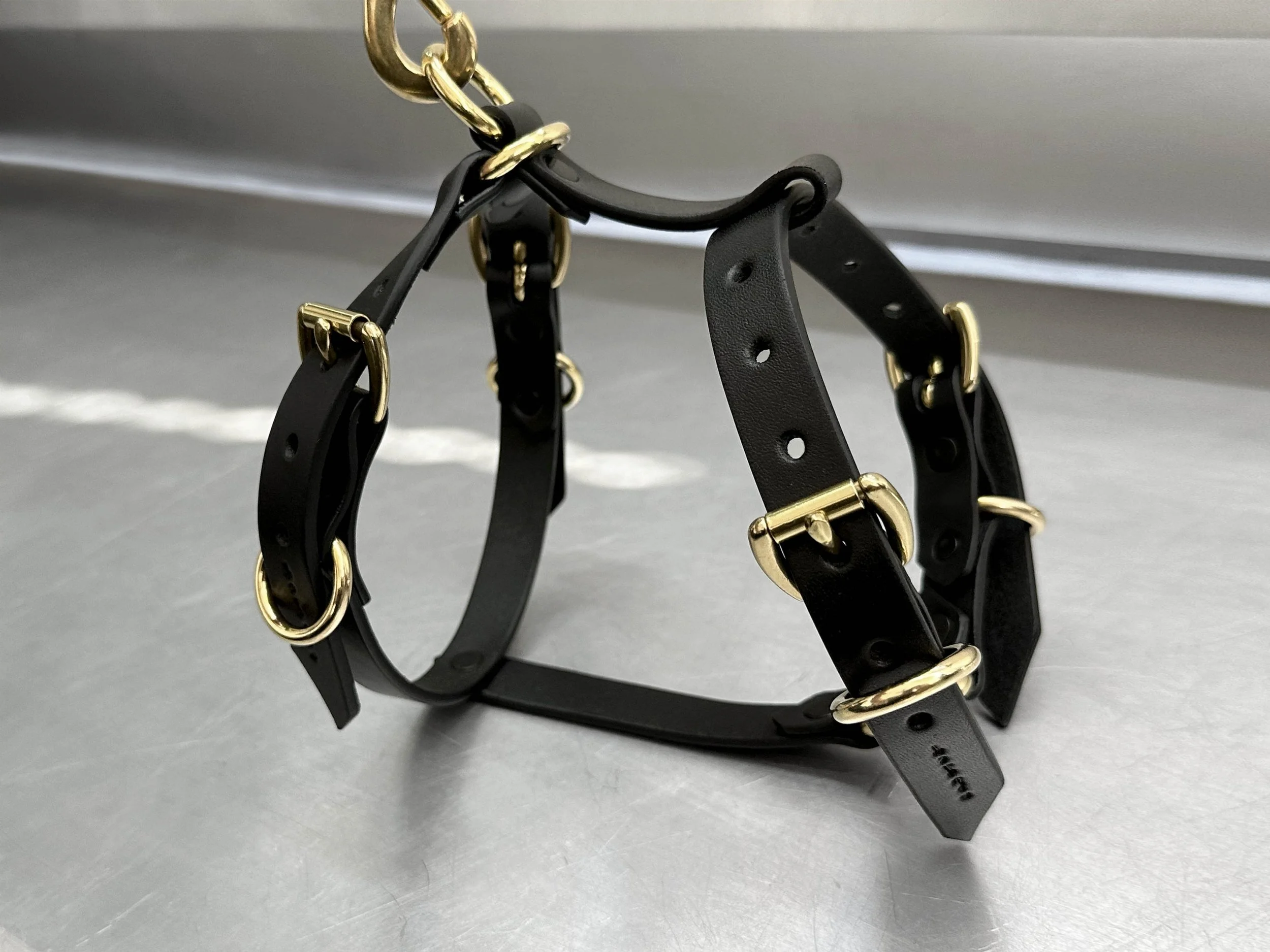 Cassius_Harley harness_black brass_standing.jpg