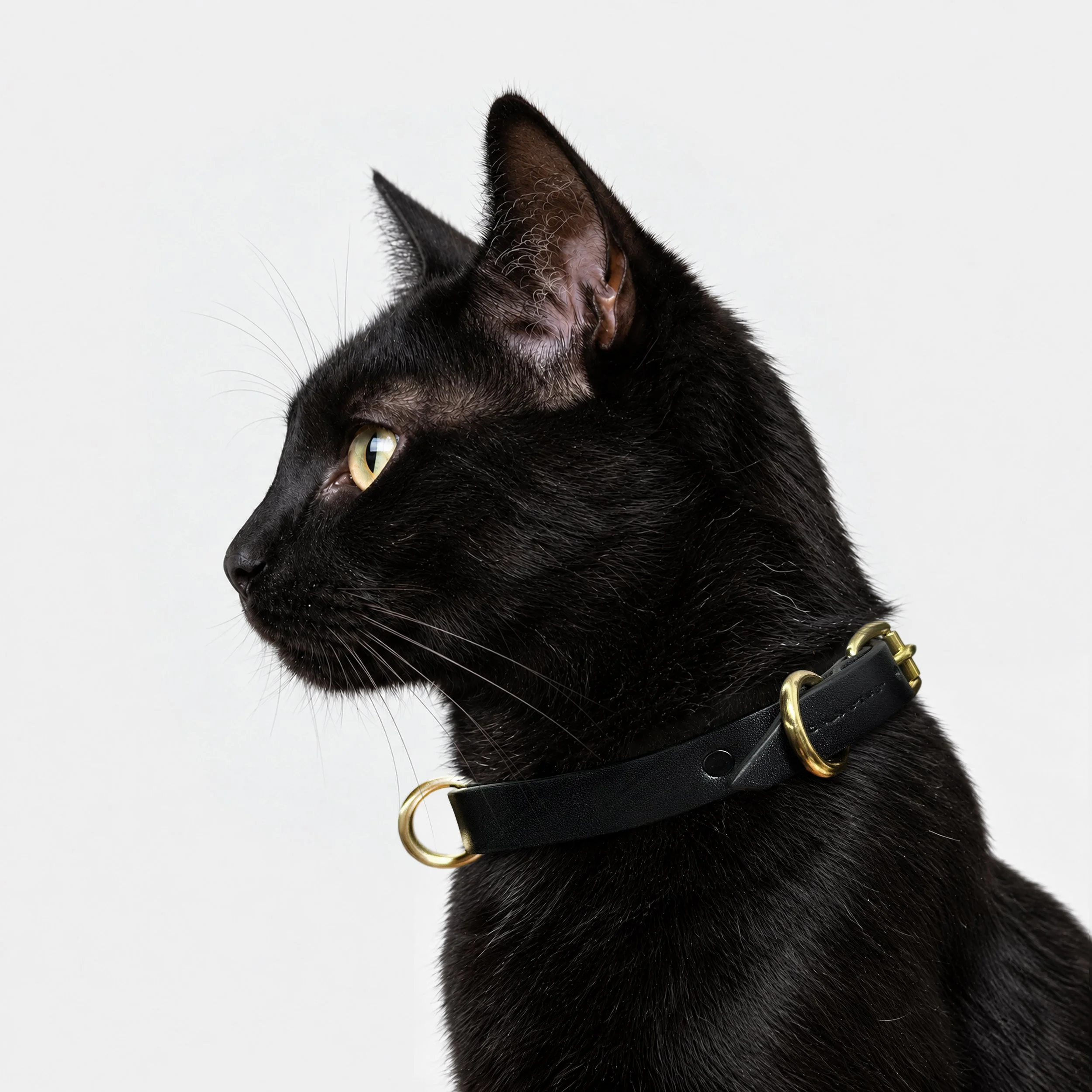 Nera Running Ring Collar