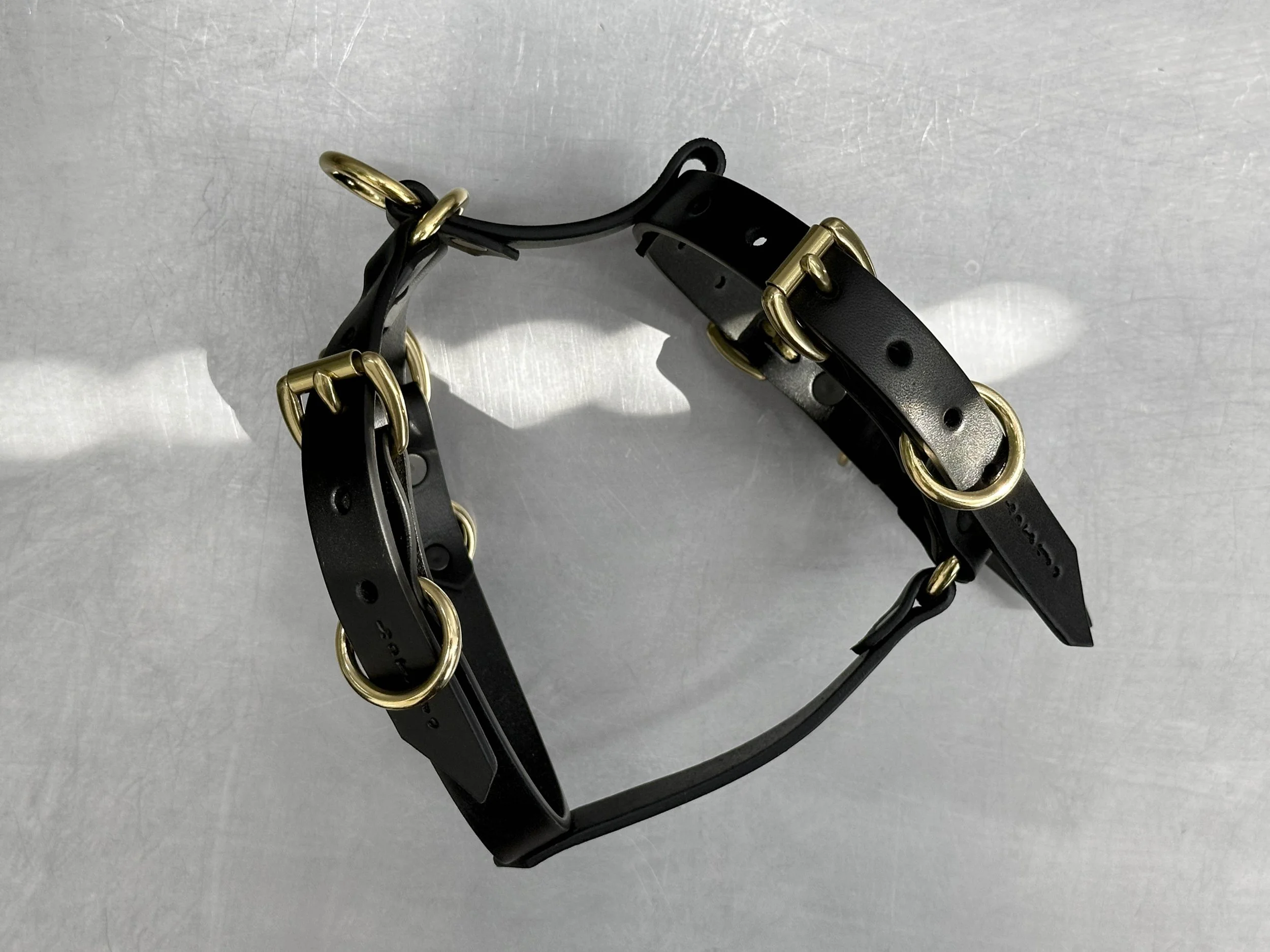 Cassius_Harley harness_black brass_side.jpg
