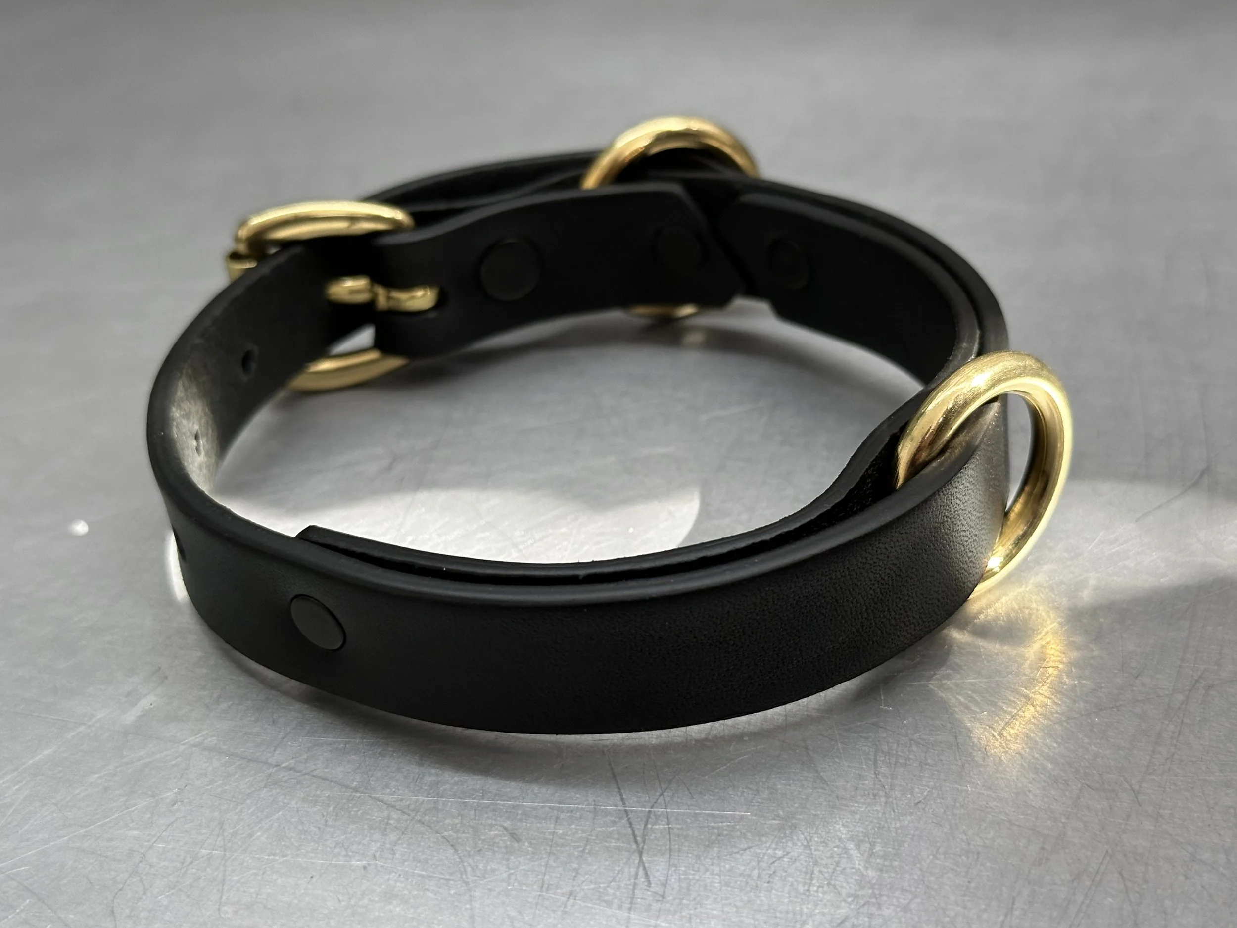 Cassius_Classic ring run collar_black brass_main 2.jpg (Copy)