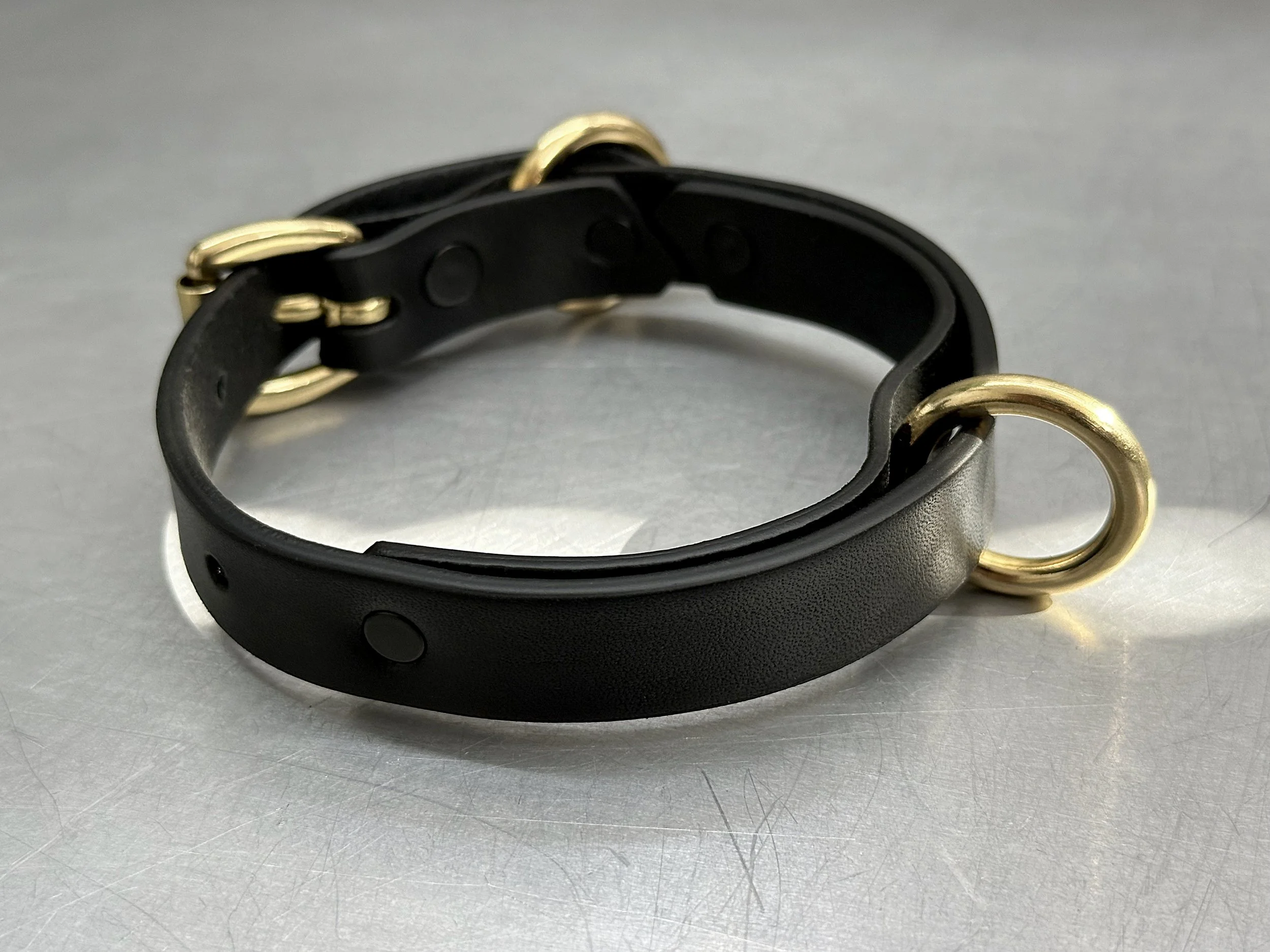 Cassius_Classic ring run collar_black brass_main.jpg (Copy)