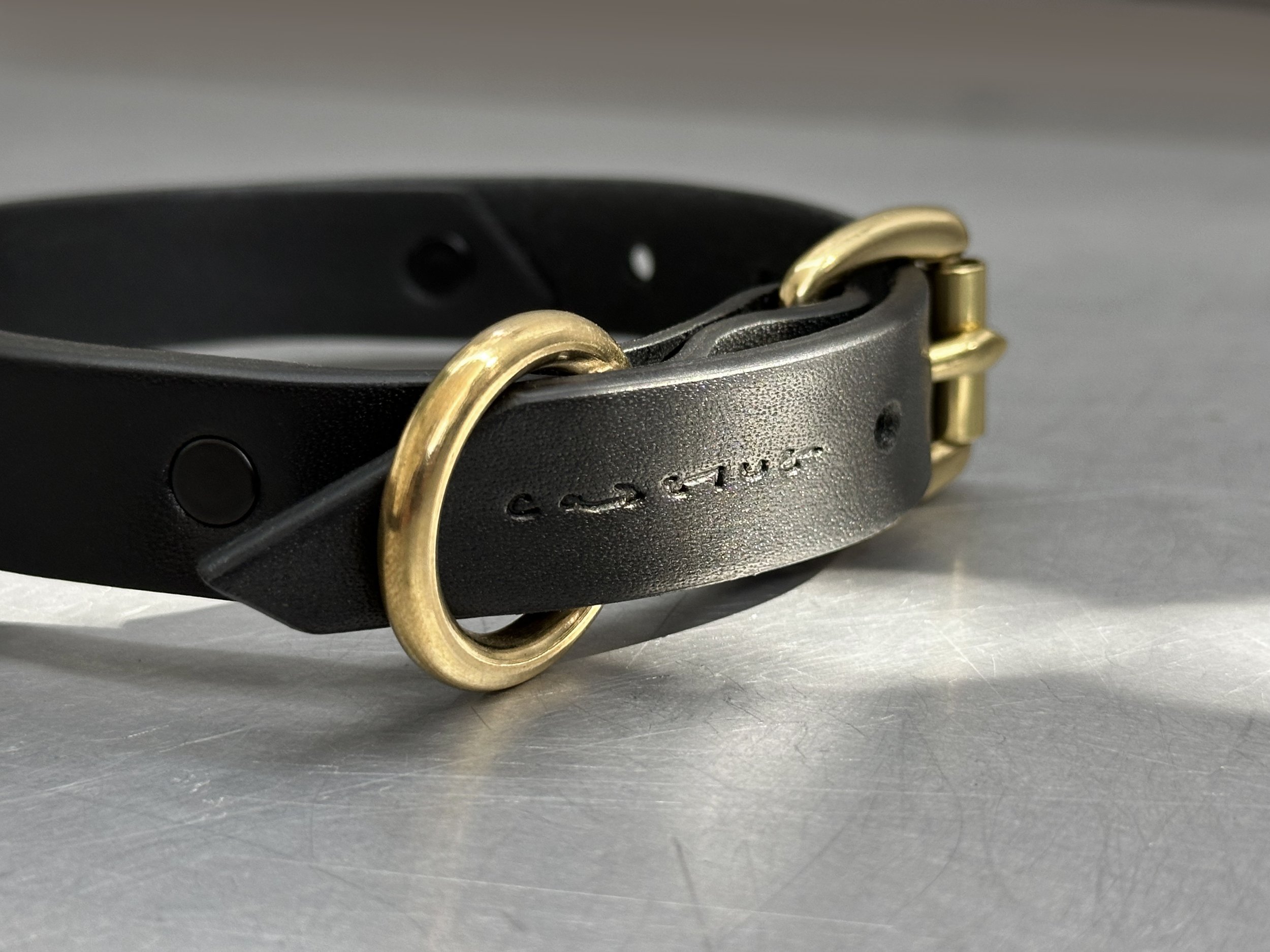 Cassius_Classic ring run collar_black brass_tip.jpg (Copy)